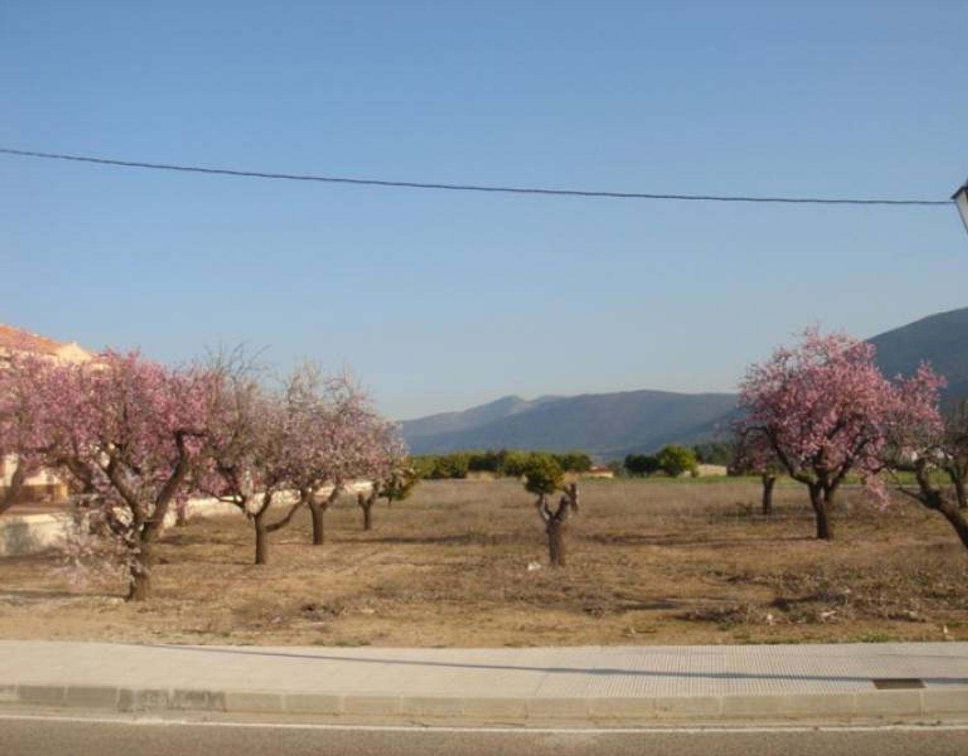 Земля в Murla, Valencia 11002007