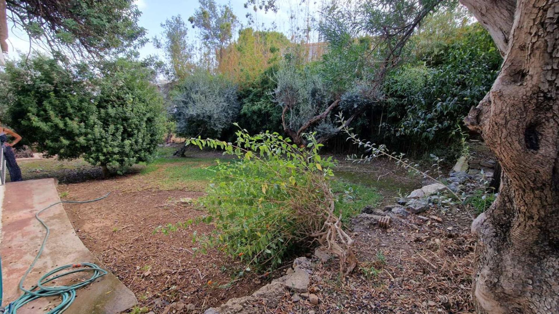 Talo sisään Alhaurín de la Torre, Andalucía 11002892