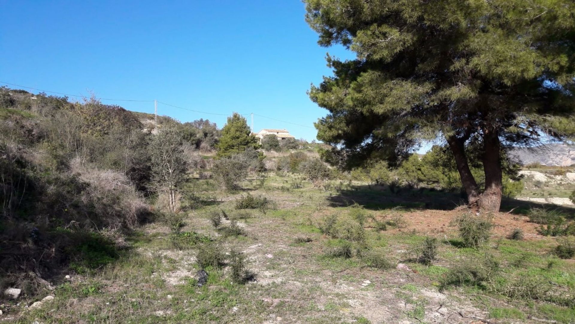 Land i Moraira, Valencian Community 11003311