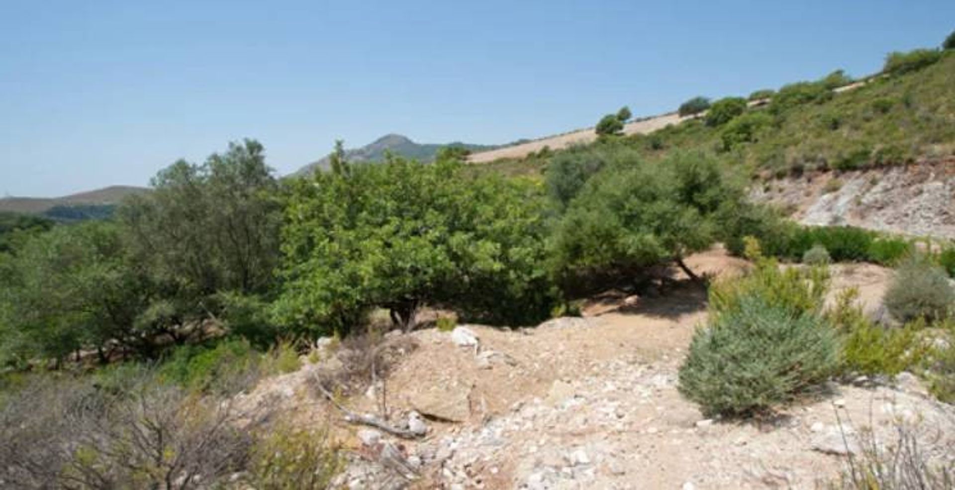 Land in Benahavis, Andalusië 11003740