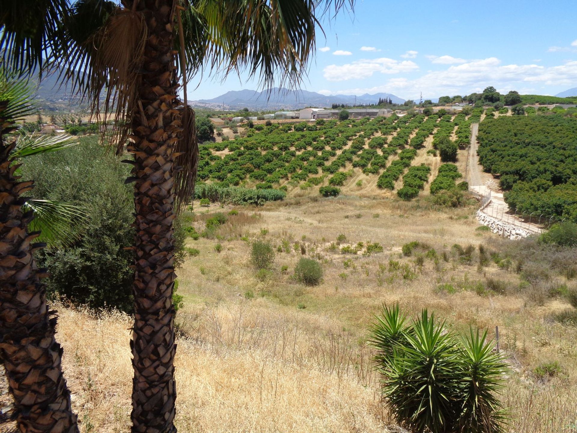 Talo sisään Alhaurín de la Torre, Andalucía 11003996