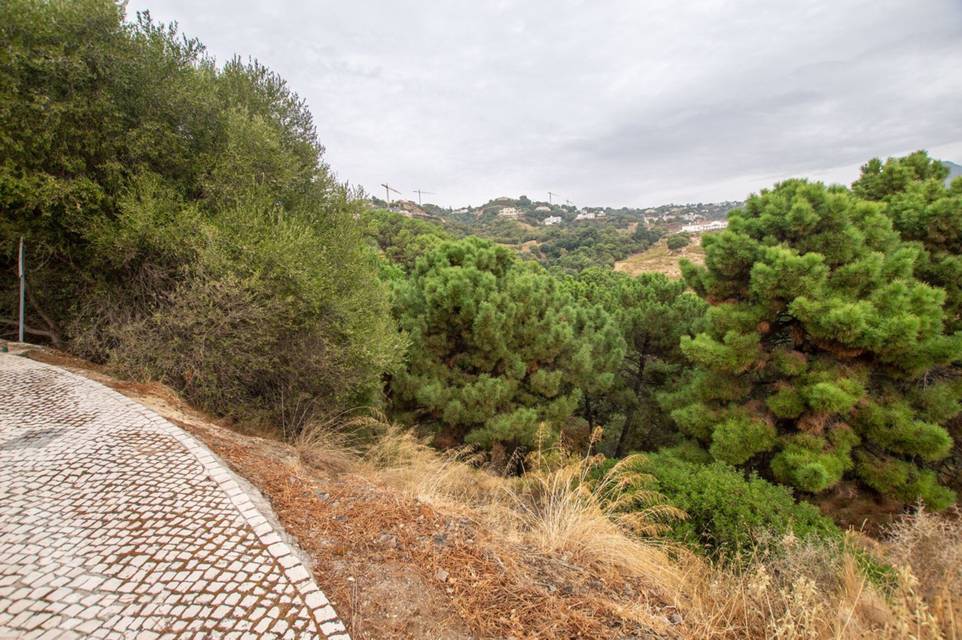 Tanah di Benahavis, Andalusia 11004226