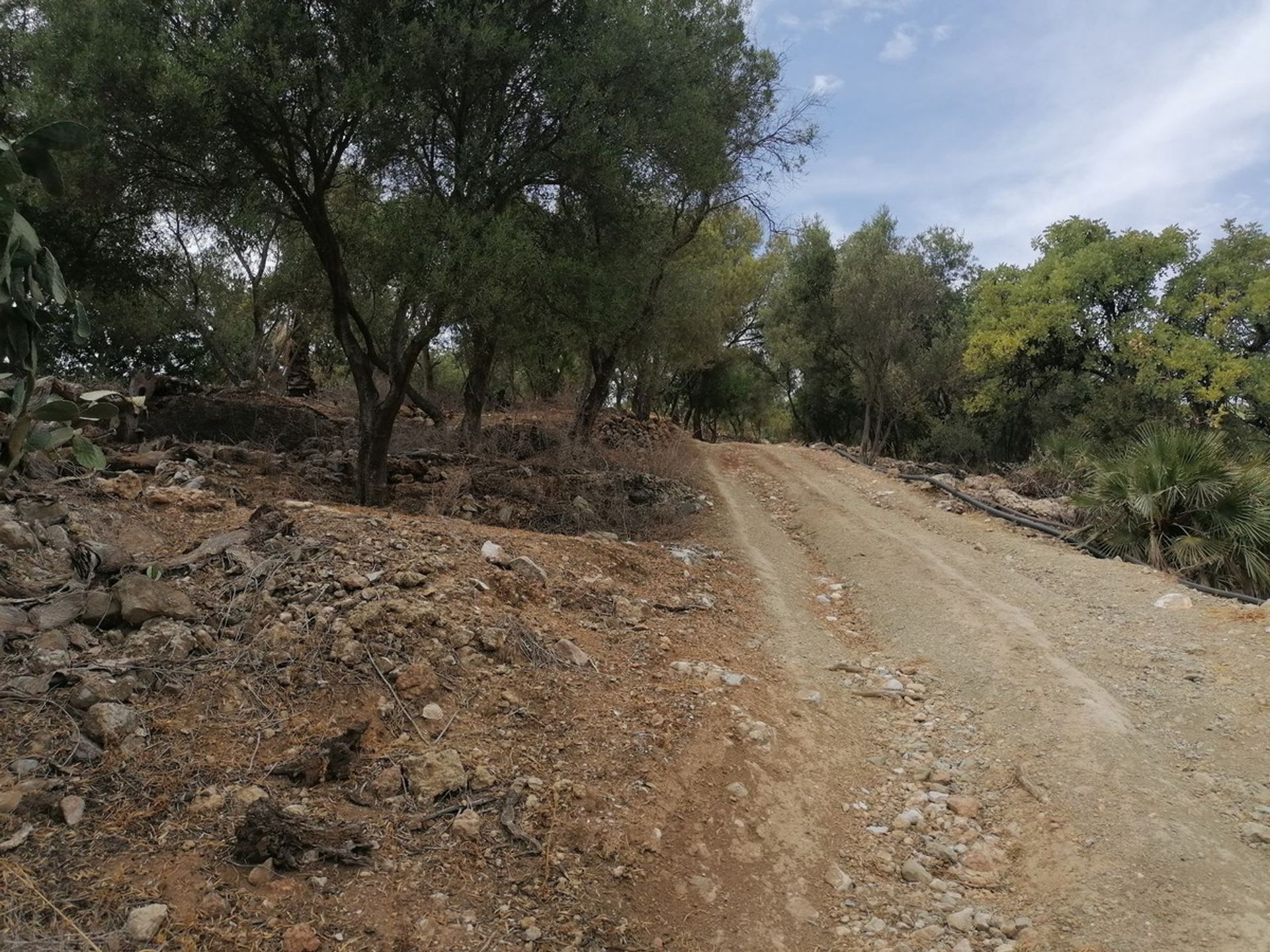 بيت في Benalmádena, Andalucía 11004250