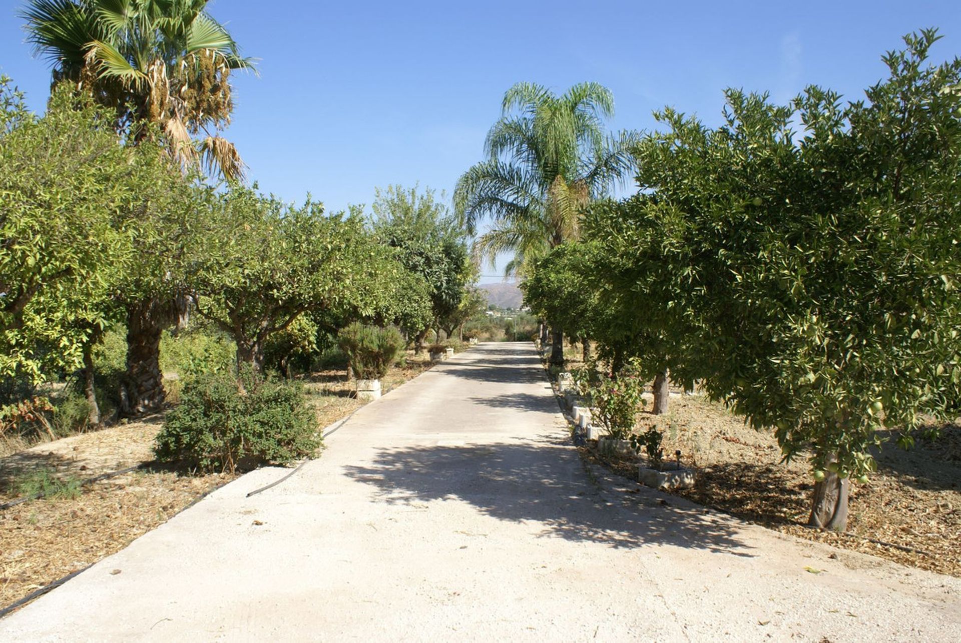 Casa nel Mijas, Andalusia 11004404