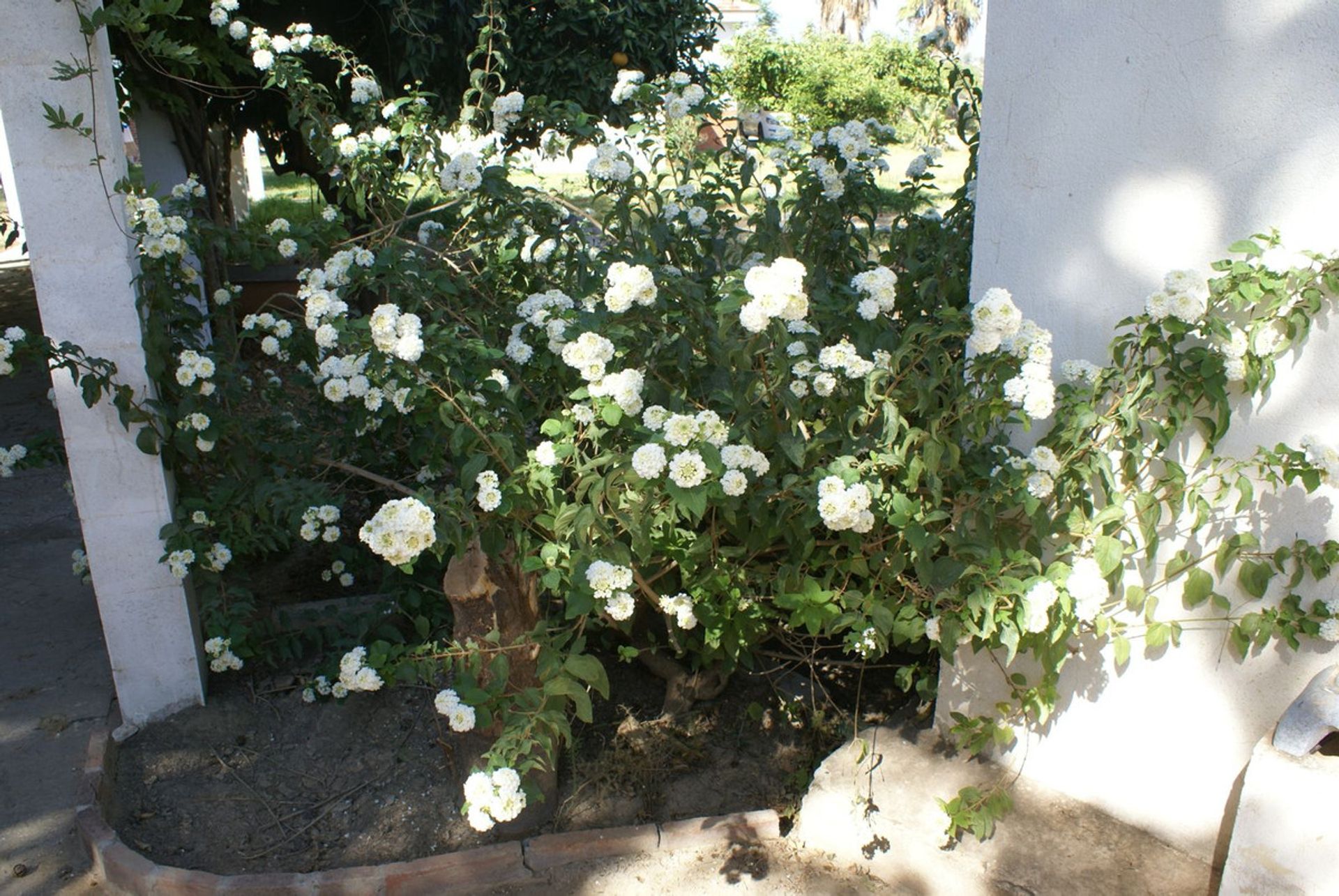 Casa nel Mijas, Andalusia 11004404