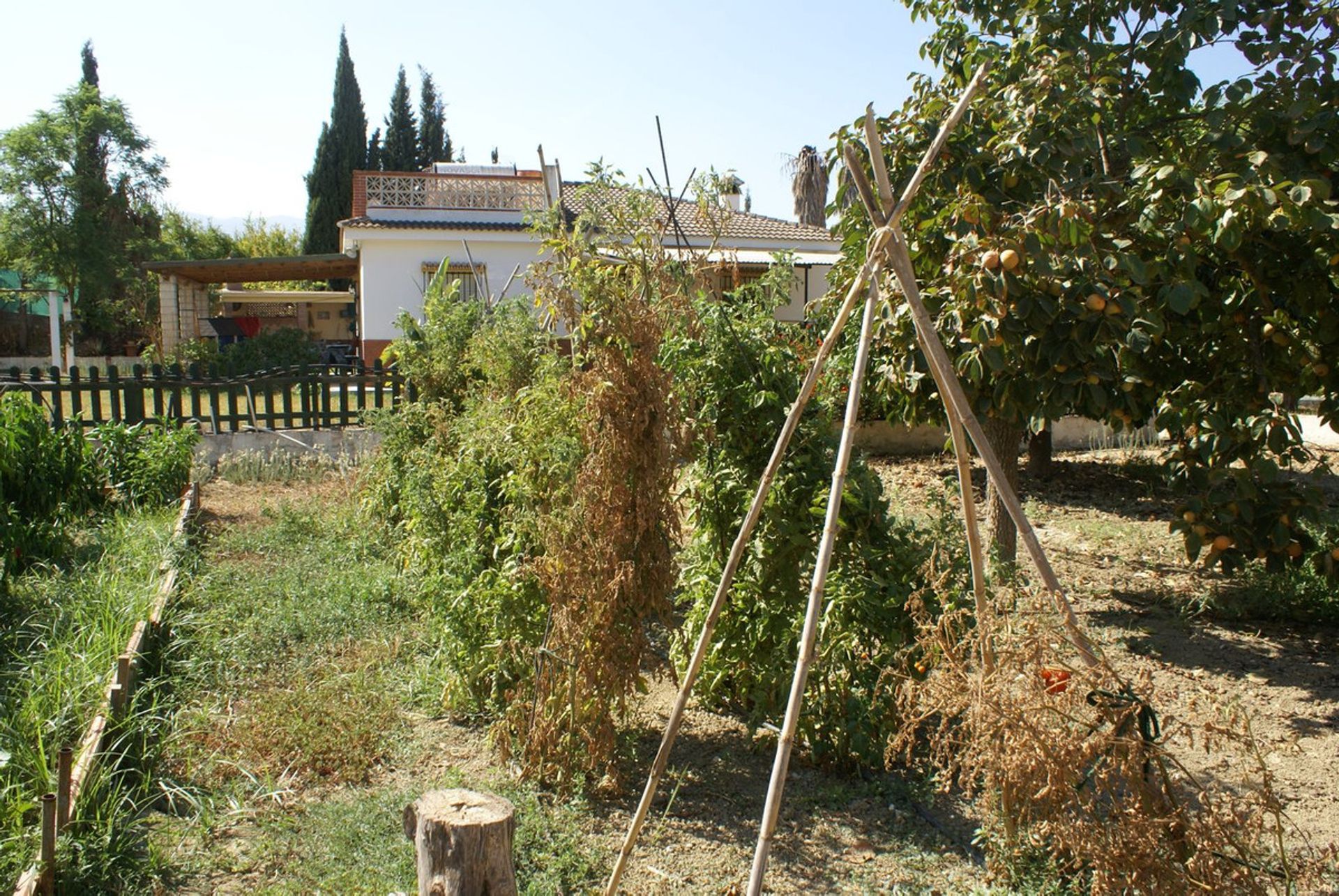 Casa nel Mijas, Andalusia 11004404