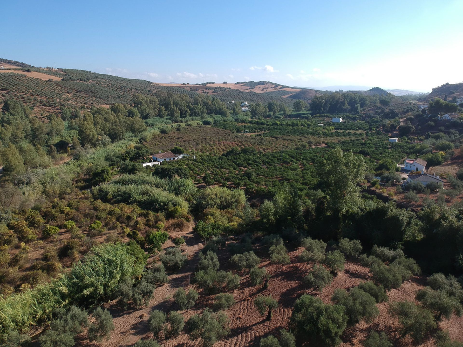 rumah dalam , Andalucía 11004419