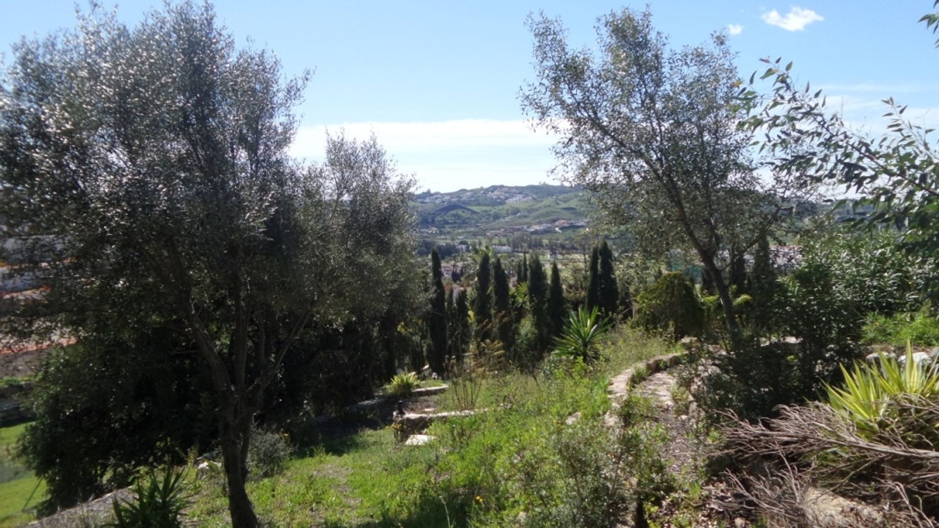 Terra no Alhaurín el Grande, Andaluzia 11005617