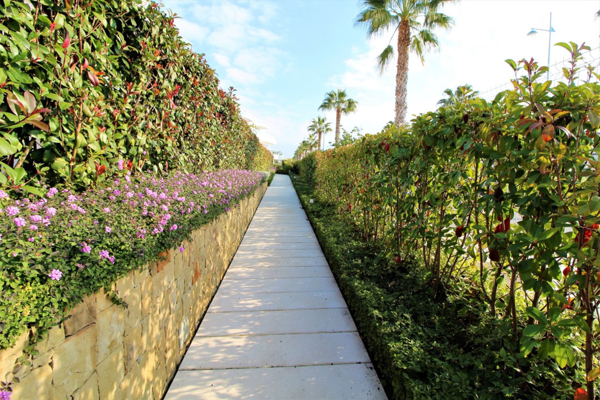 Borettslag i Marbella, Andalucía 11006748