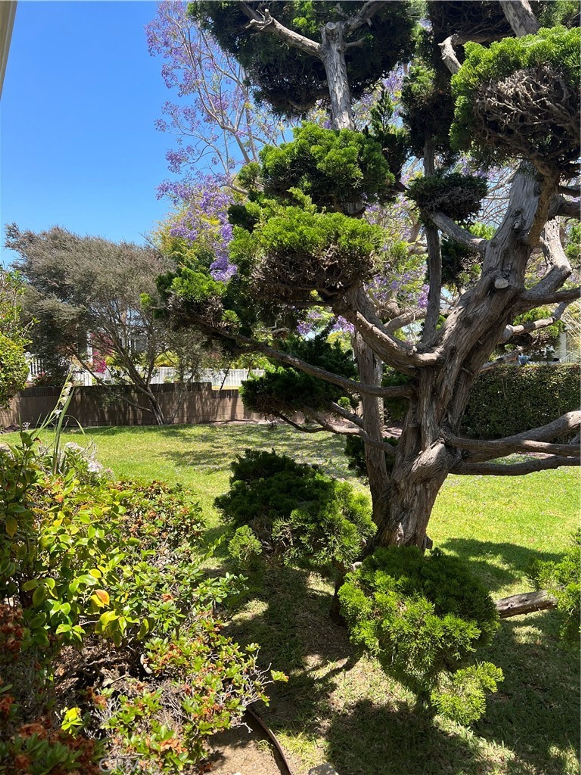 Huis in Redondo-strand, Californië 11006962