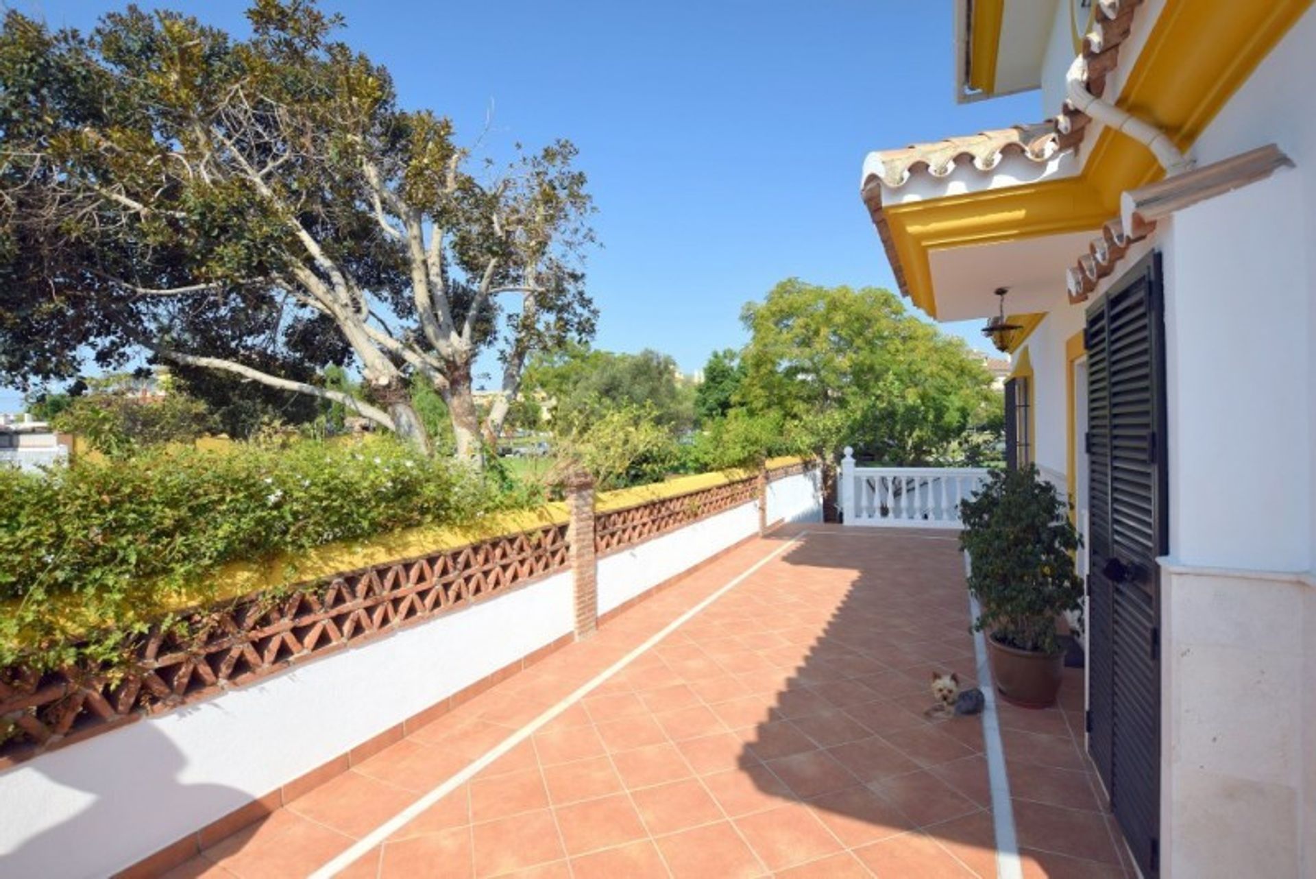 rumah dalam Marbella, Andalucía 11006978