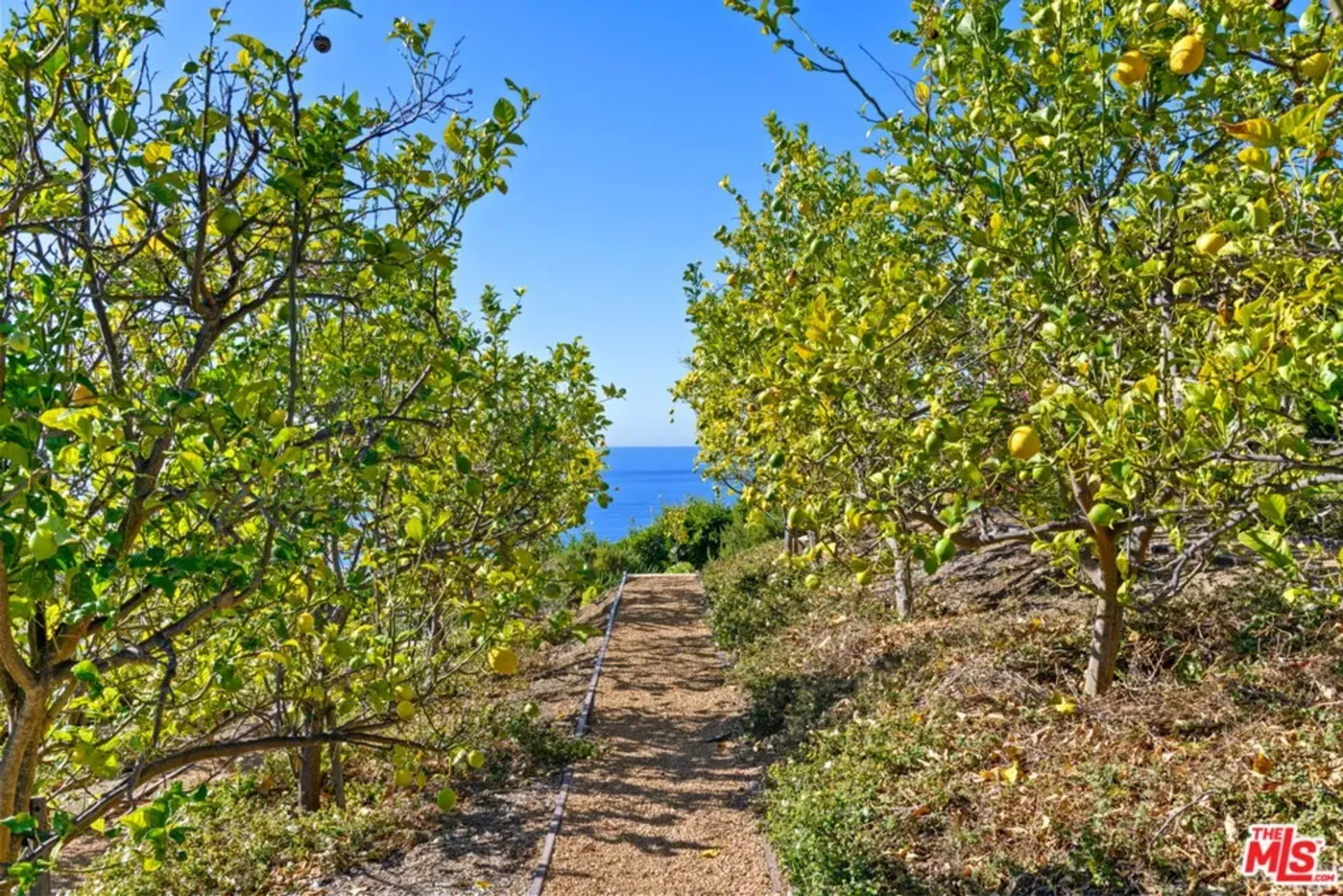 عمارات في Malibu, California 11013514