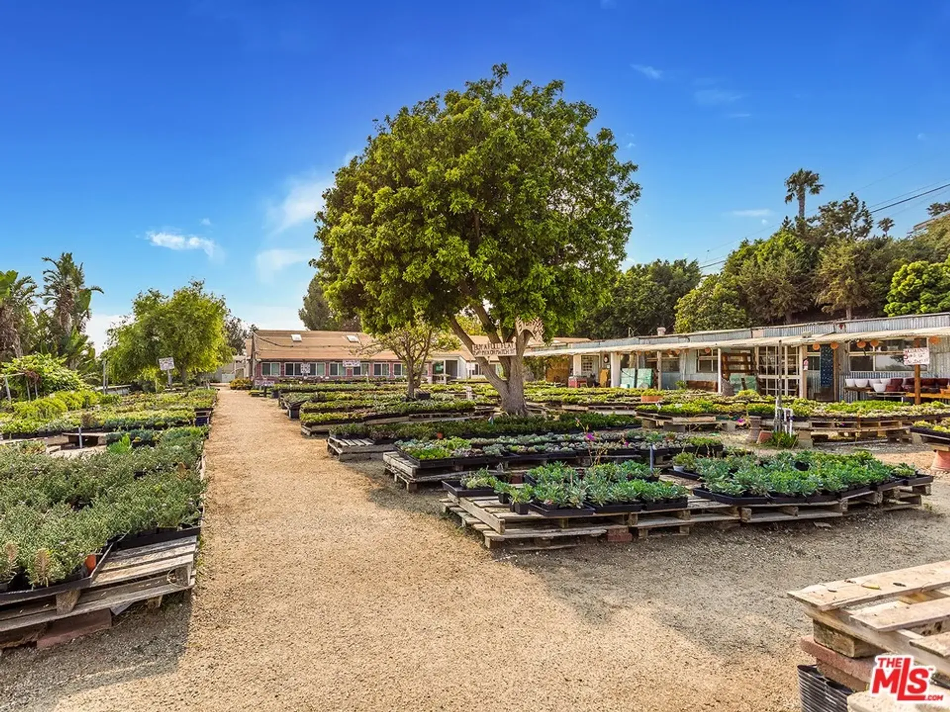 عمارات في Pepperdine University, California 11013799