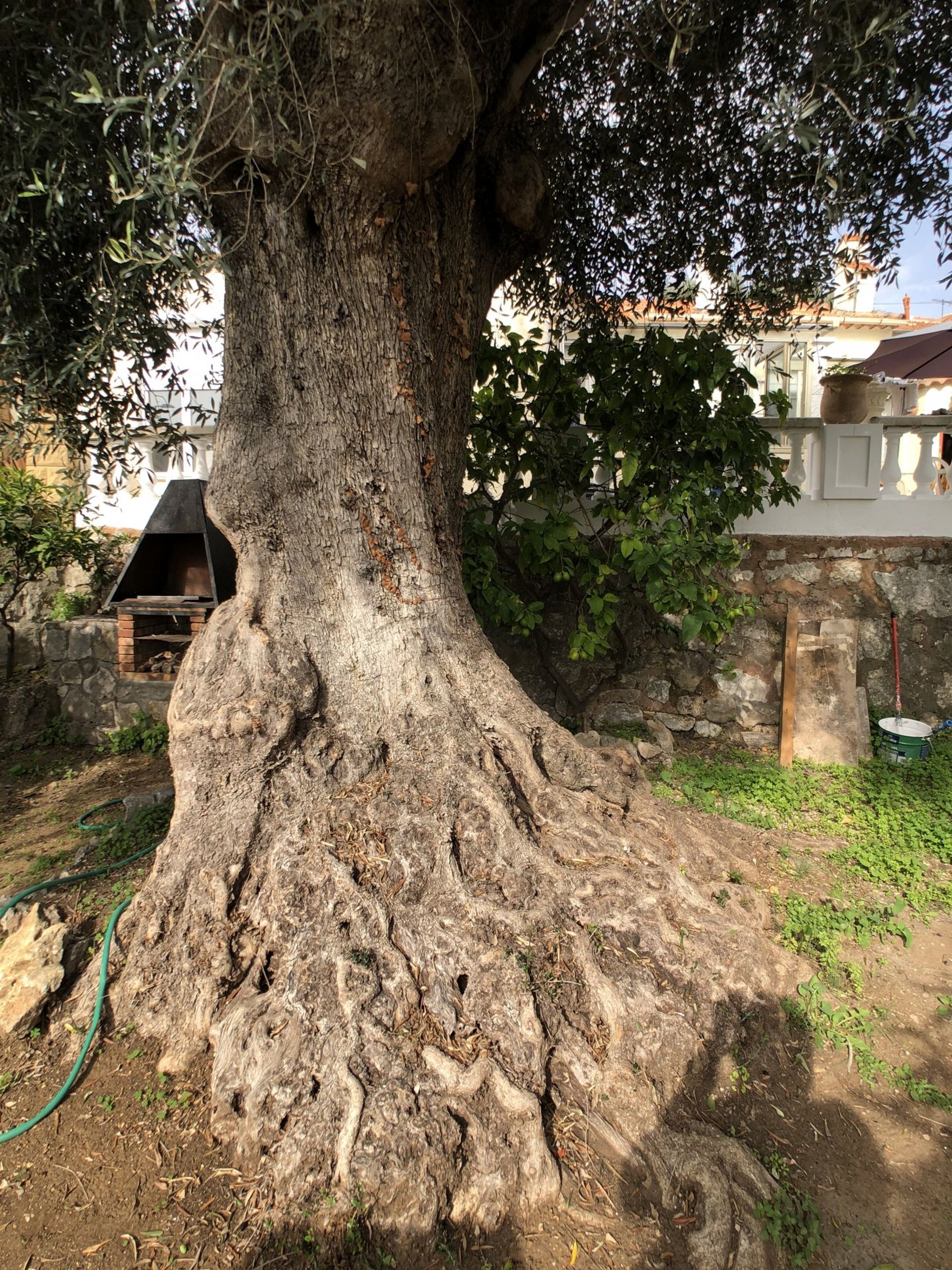 Residentieel in Roquefort-les-Pins, Alpes-Maritimes 11019195