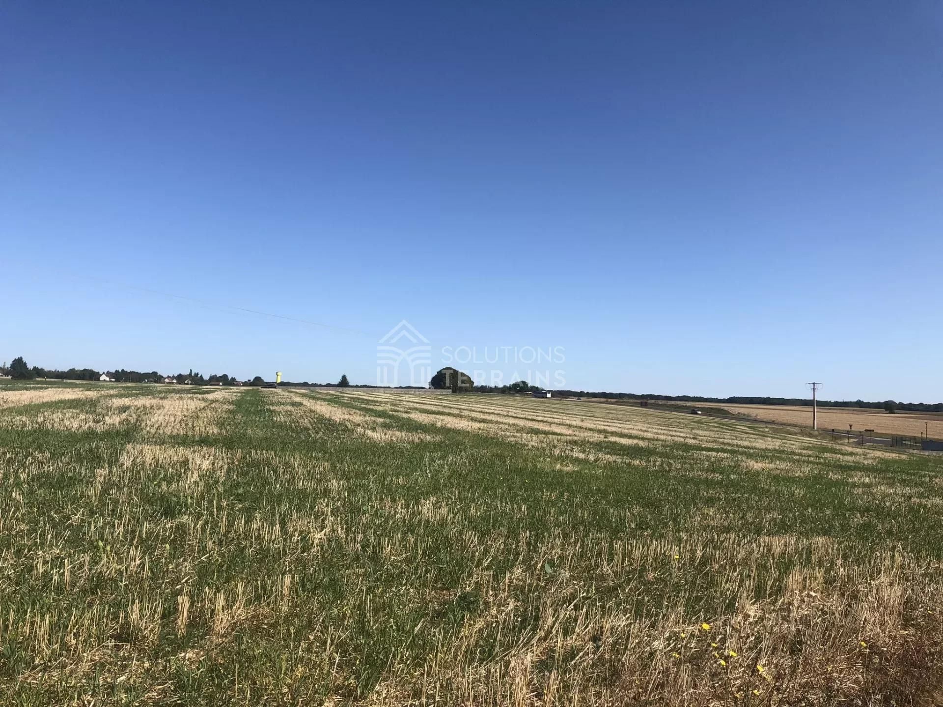 Terra no Lorrez-le-Bocage-Préaux, Seine-et-Marne 11023038