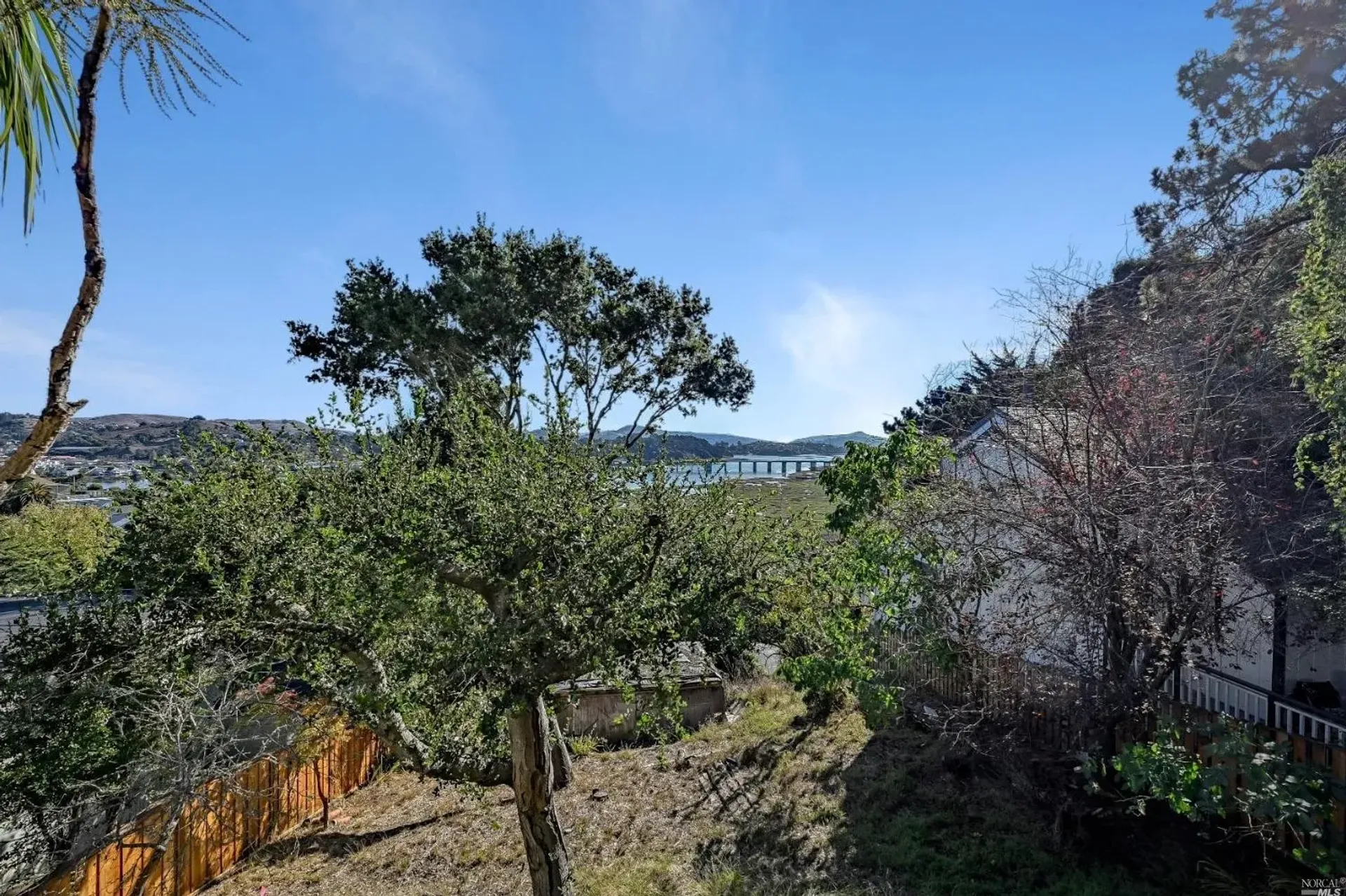 房子 在 Mill Valley, 243 Perry Street 11036261