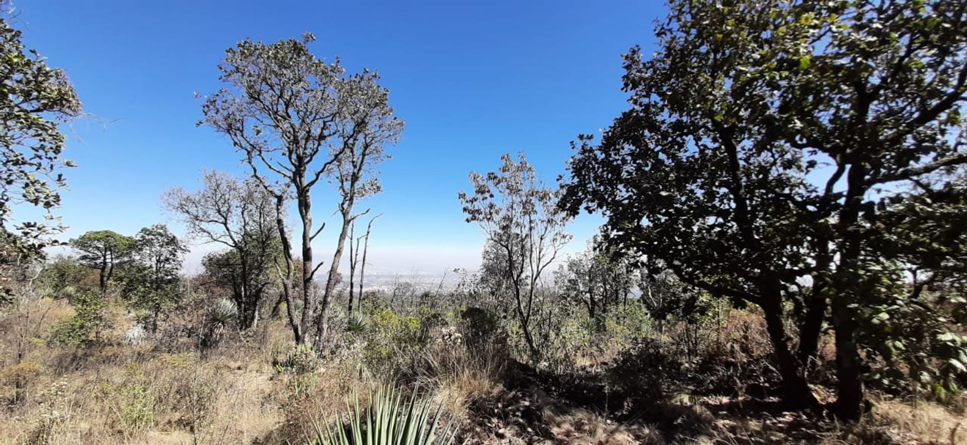 Terra no Tepechimilpa, Cidade do México 11041495