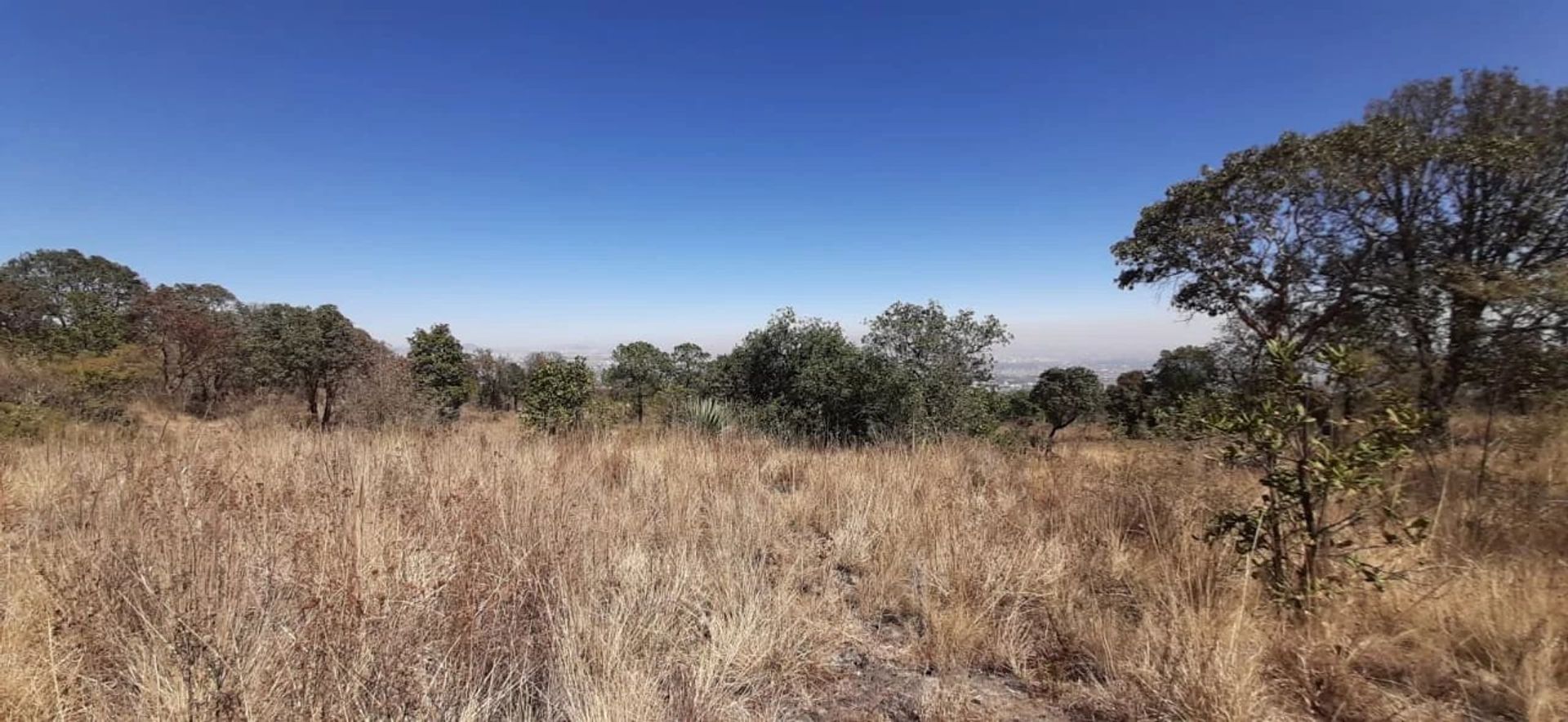 Land i Tepechimilpa, Ciudad de Mexico 11041495