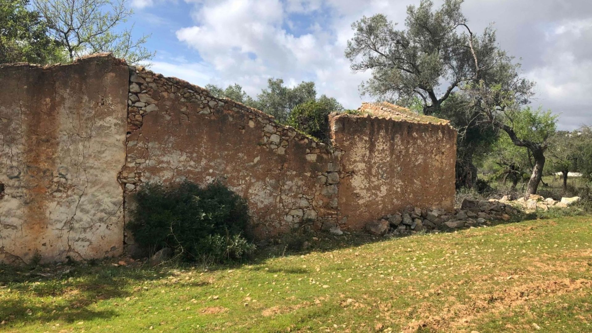 الأرض في Loulé, Faro District 11043128