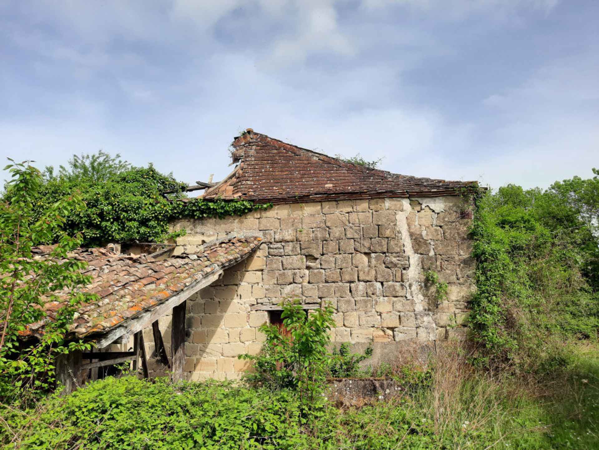 Будинок в Allemans-du-Dropt, Nouvelle-Aquitaine 11043130