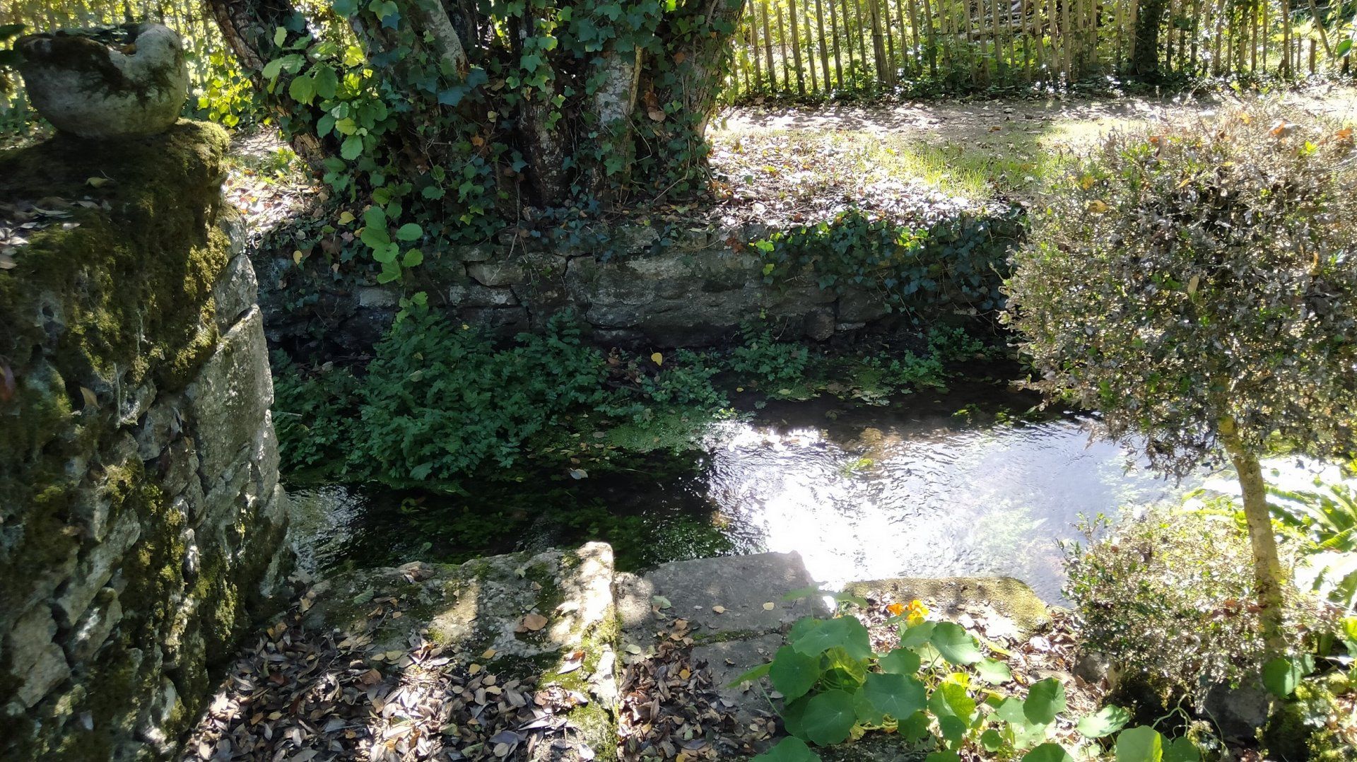 Haus im Barro, Nouvelle-Aquitaine 11043761