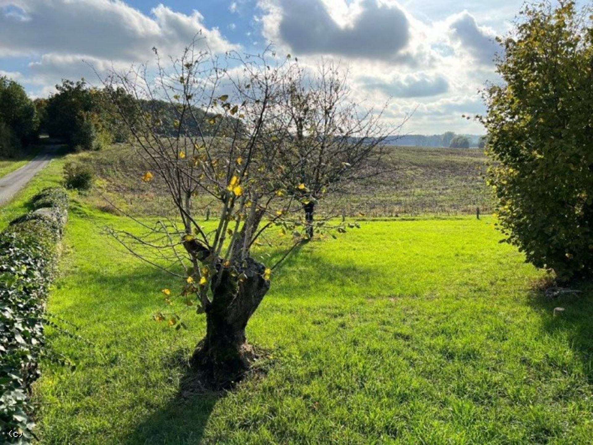 Rumah di Aunac-sur-Charente, Nouvelle-Aquitaine 11043841