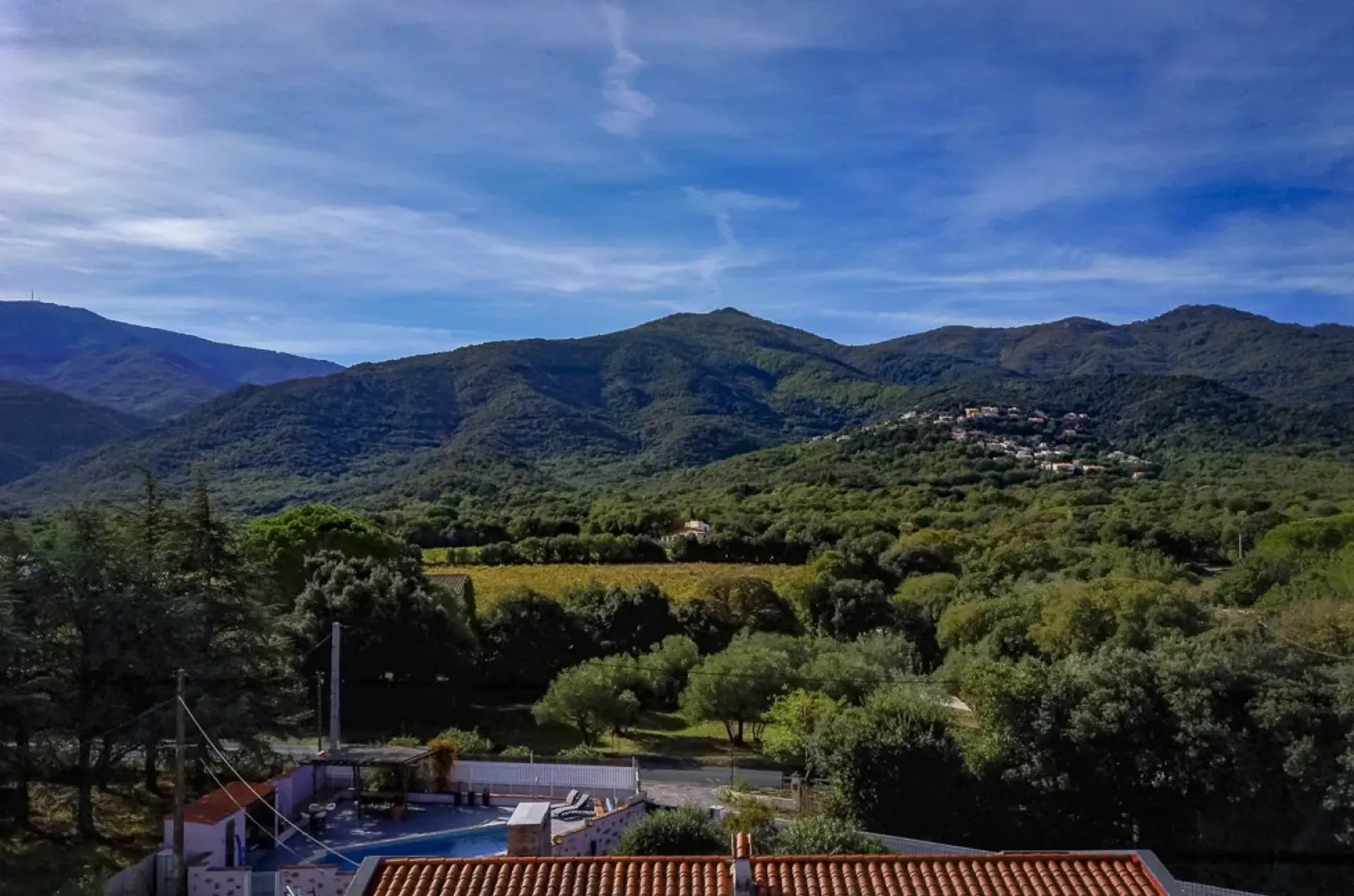 Haus im Laroque-des-Albères, Occitanie 11044031