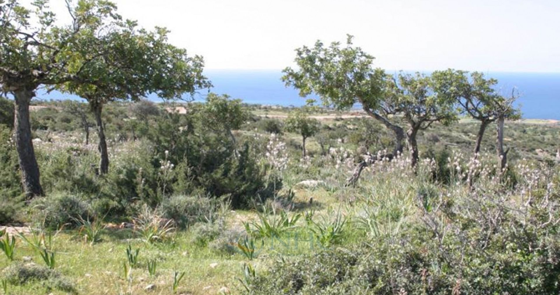 Rumah di Peyia, Paphos 11044176