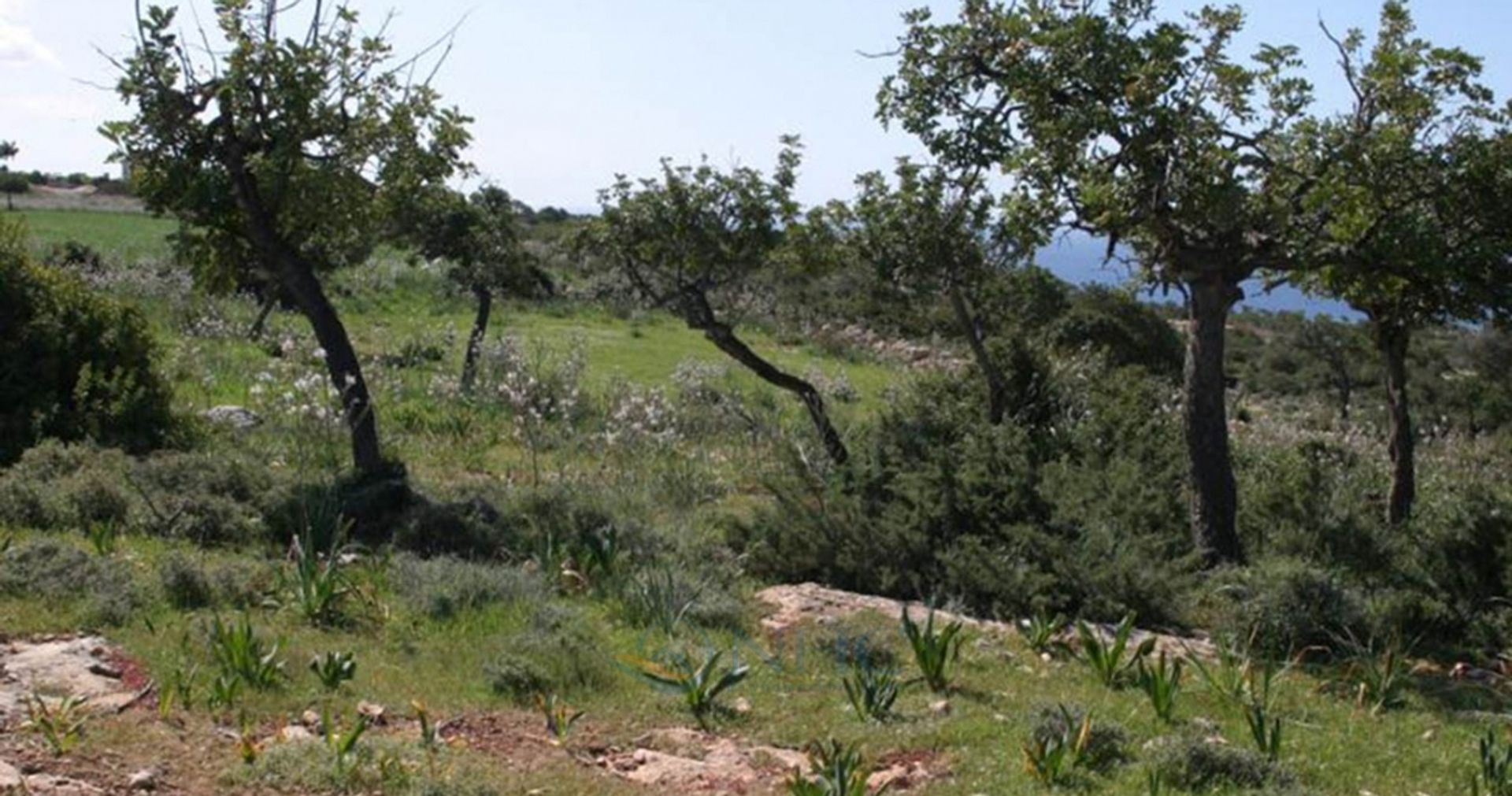 Rumah di Peyia, Paphos 11044176