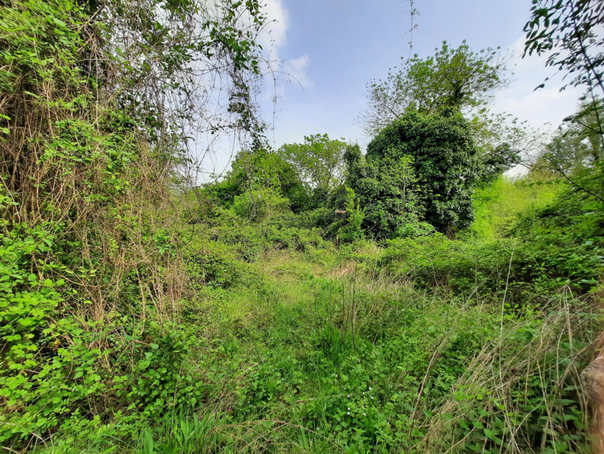 Casa nel Allemans-du-Dropt, Nuova Aquitania 11044374