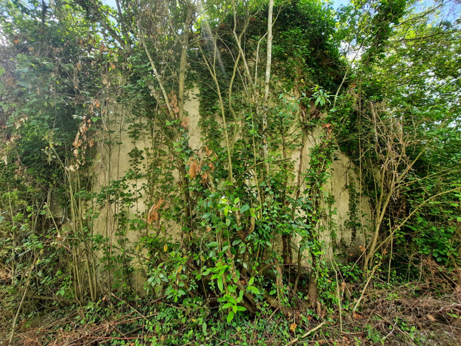 Rumah di Lachapelle, Nouvelle-Aquitaine 11044375