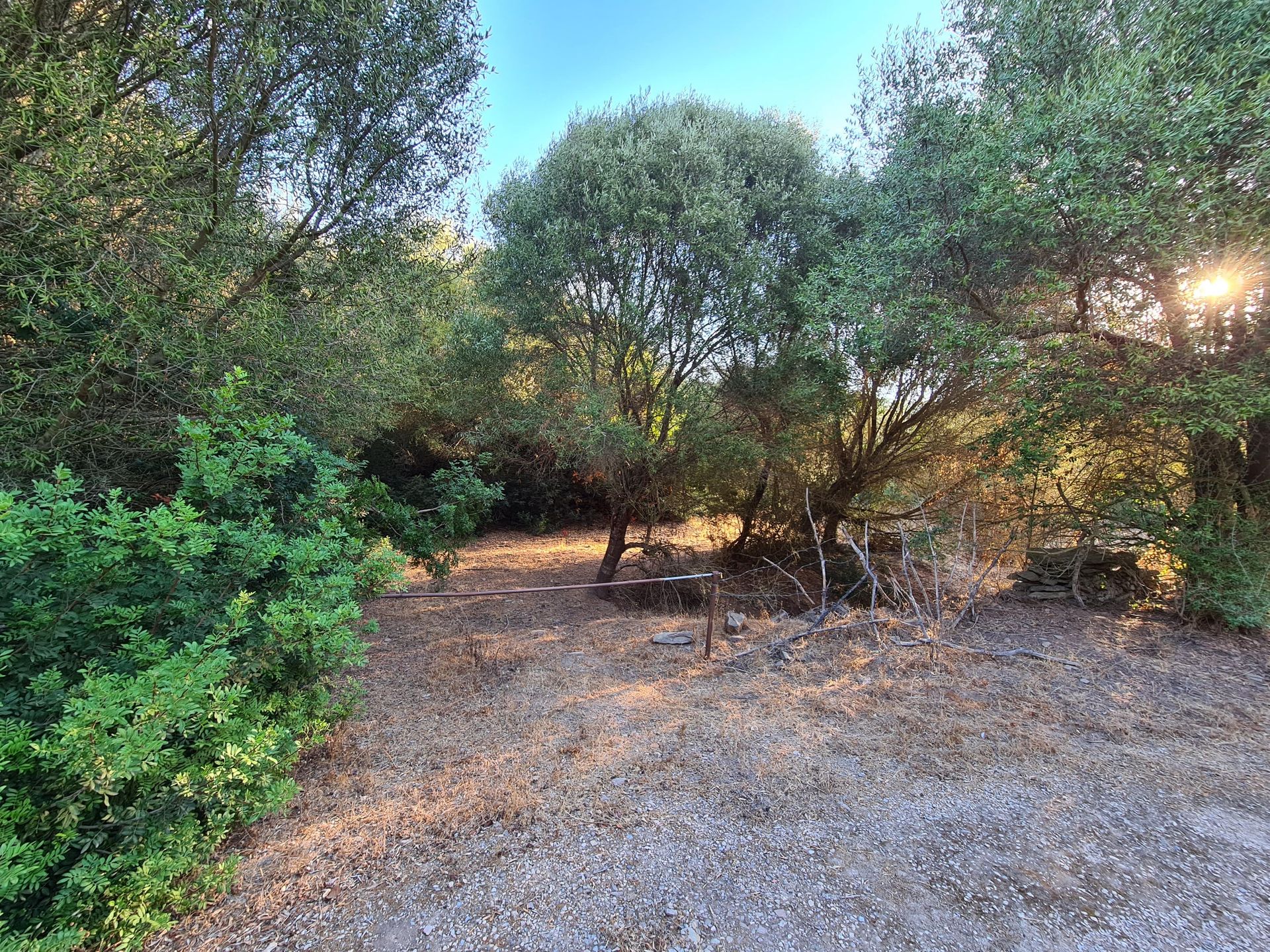 Land in Sassari, Sardegna 11044715