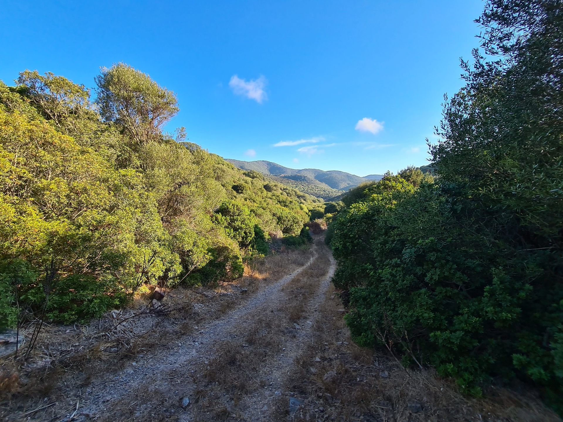 Land in Sassari, Sardinië 11044715