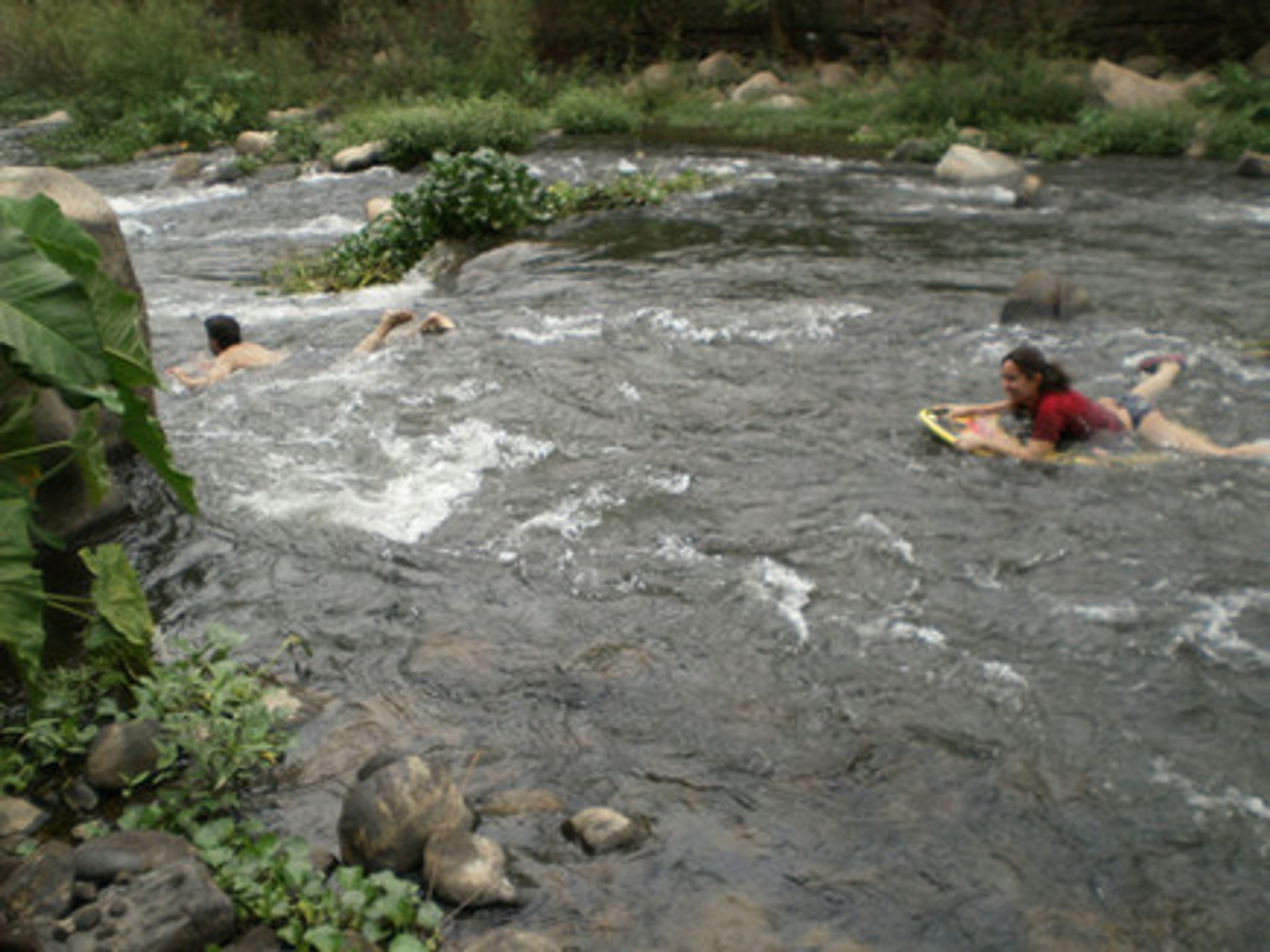 אַחֵר ב Tomatlán, Jalisco 11044716