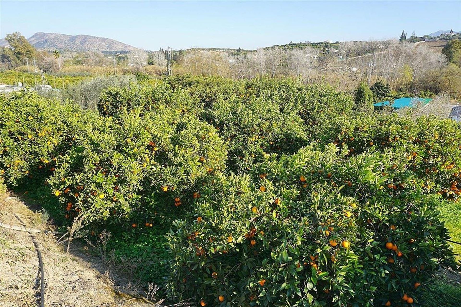 Rumah di Alhaurín el Grande, Andalucía 11047831