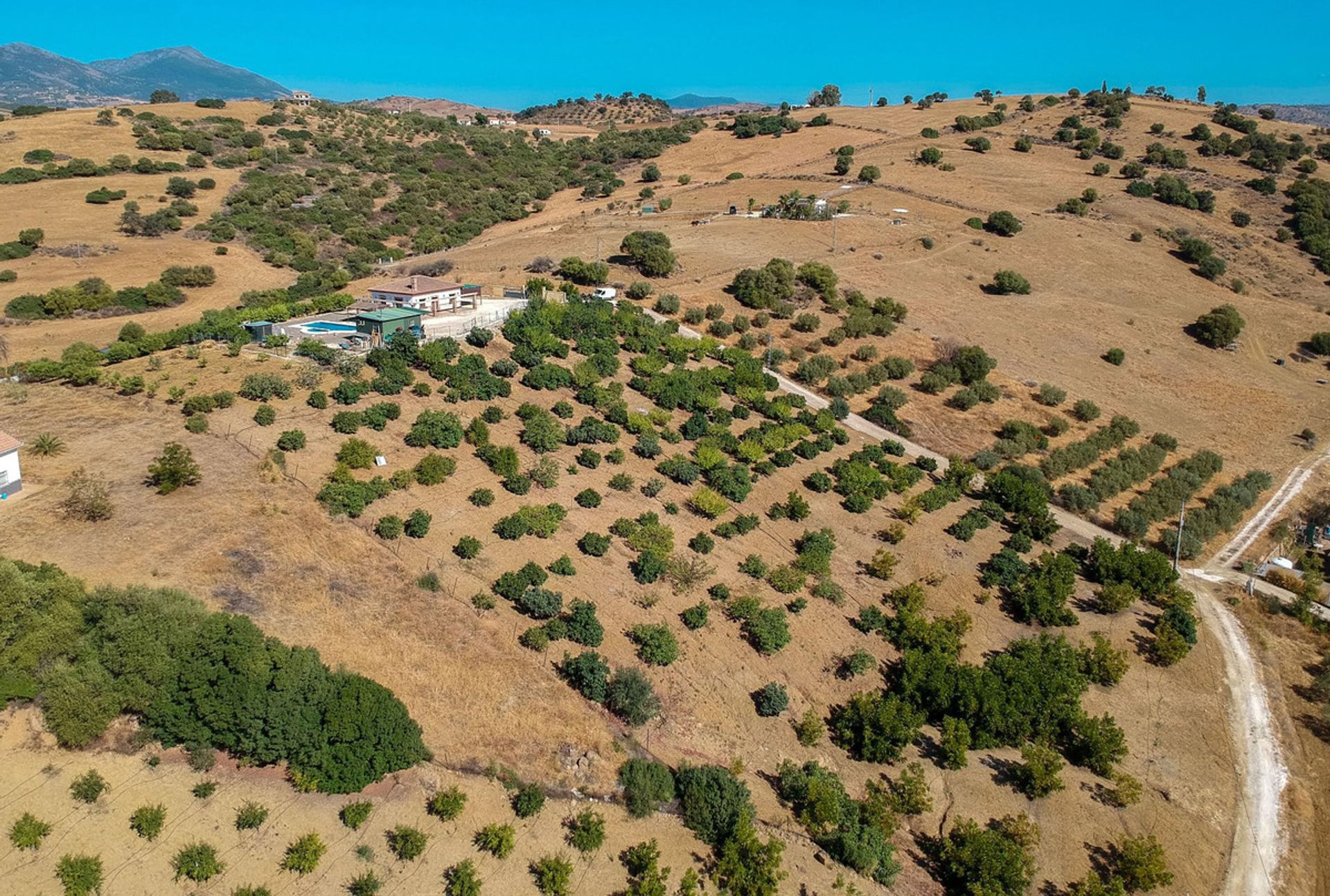 Haus im Coín, Andalusia 11048471