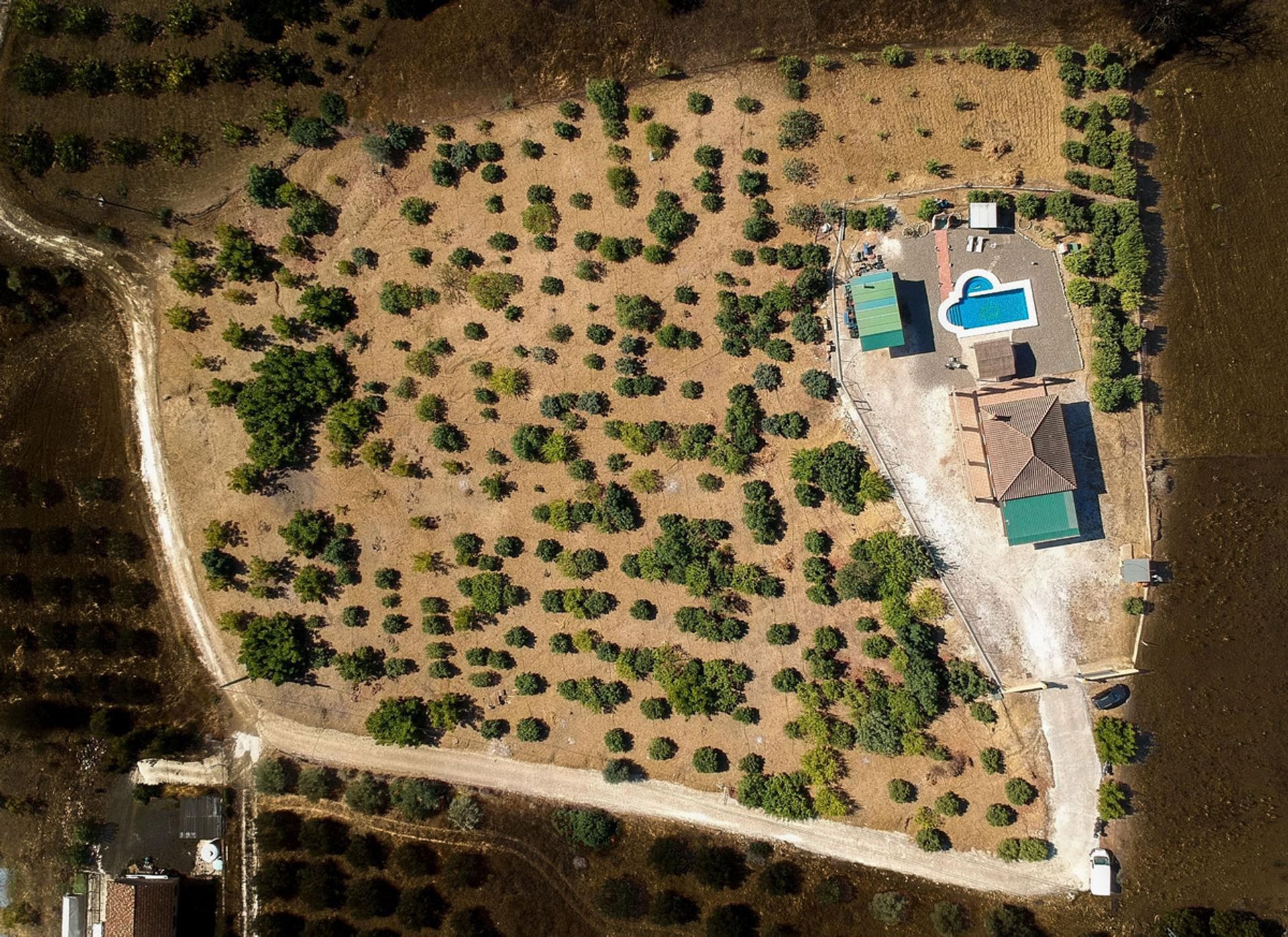 Haus im Coín, Andalusia 11048471