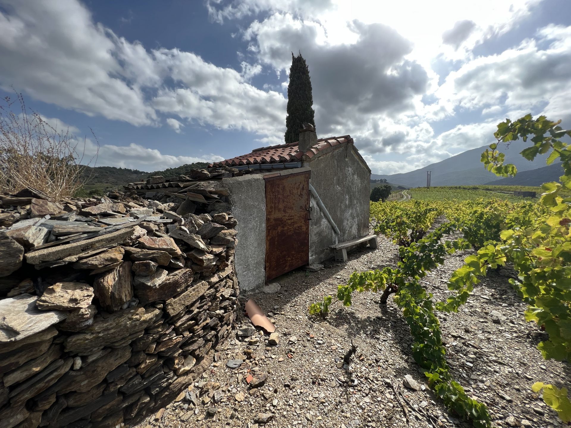 Dom w Collioure, Oksytania 11049517