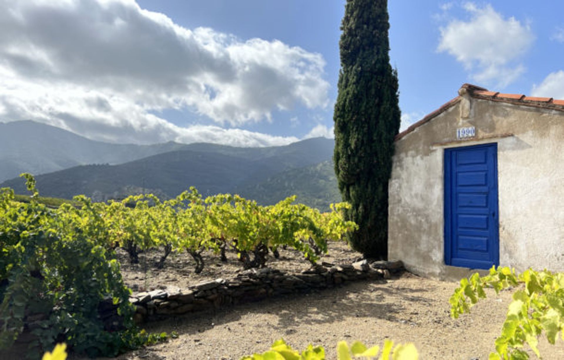 Hus i Collioure, Occitanie 11049517