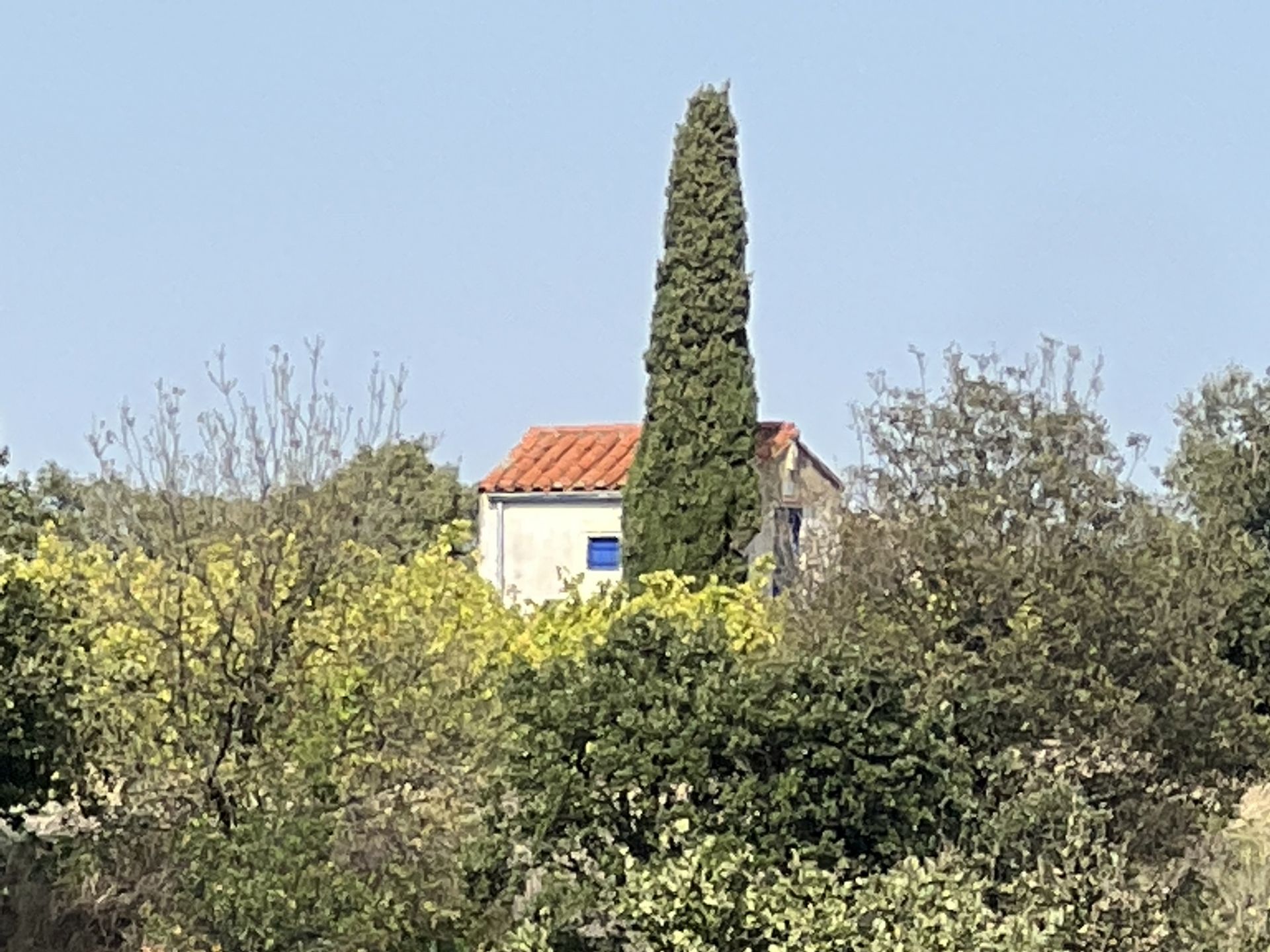 Hus i Collioure, Occitanie 11049517