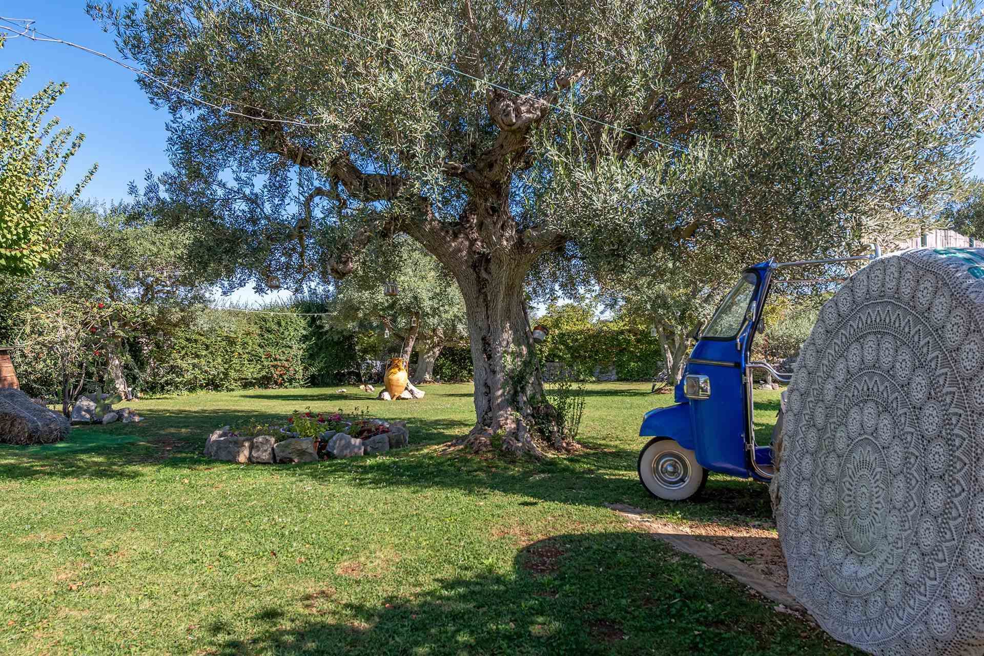 Einzelhandel im Locorotondo, Apulia 11050579