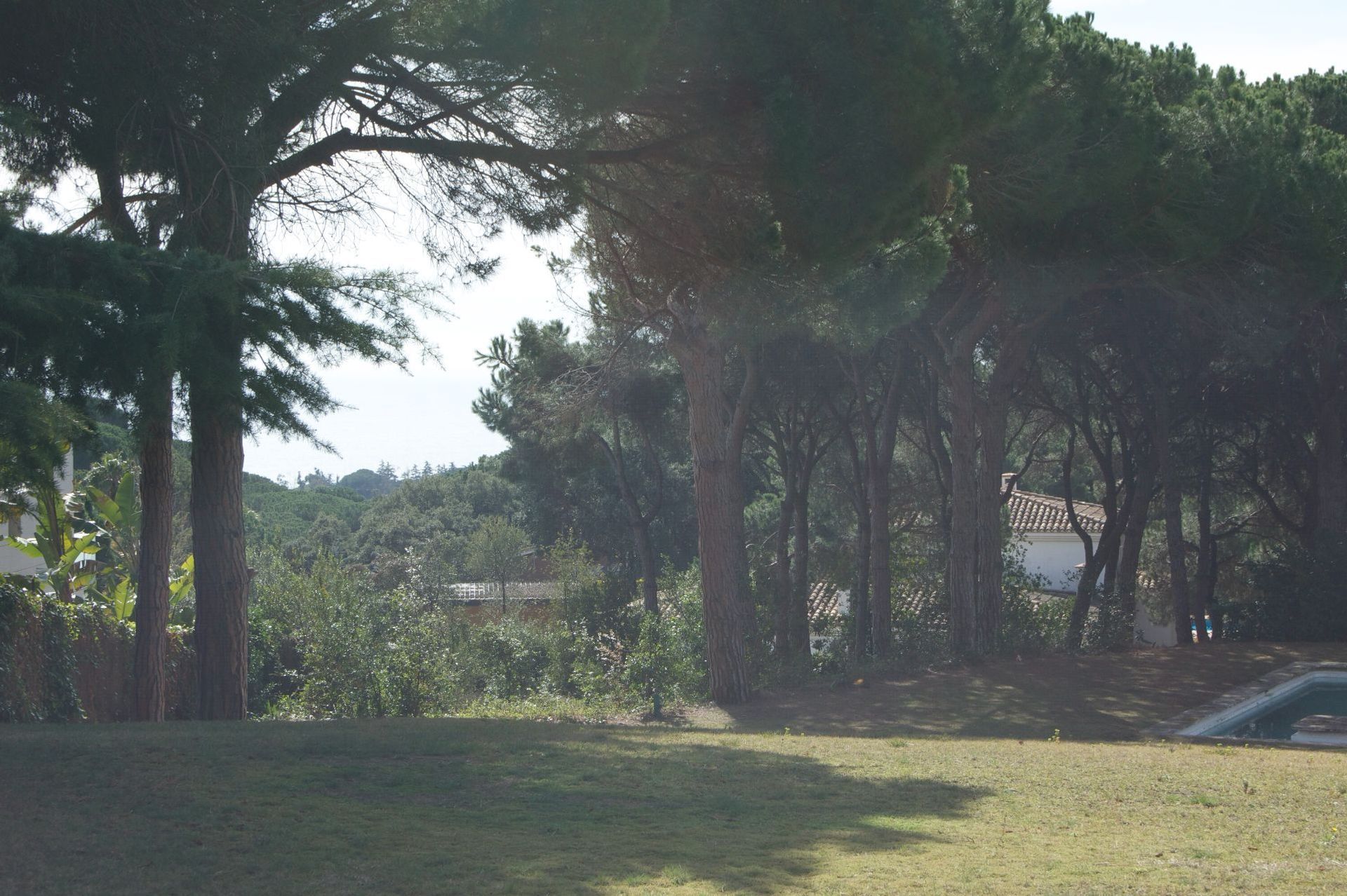 Outro no Sant Andreu de Llavaneres, Catalunya 11051442