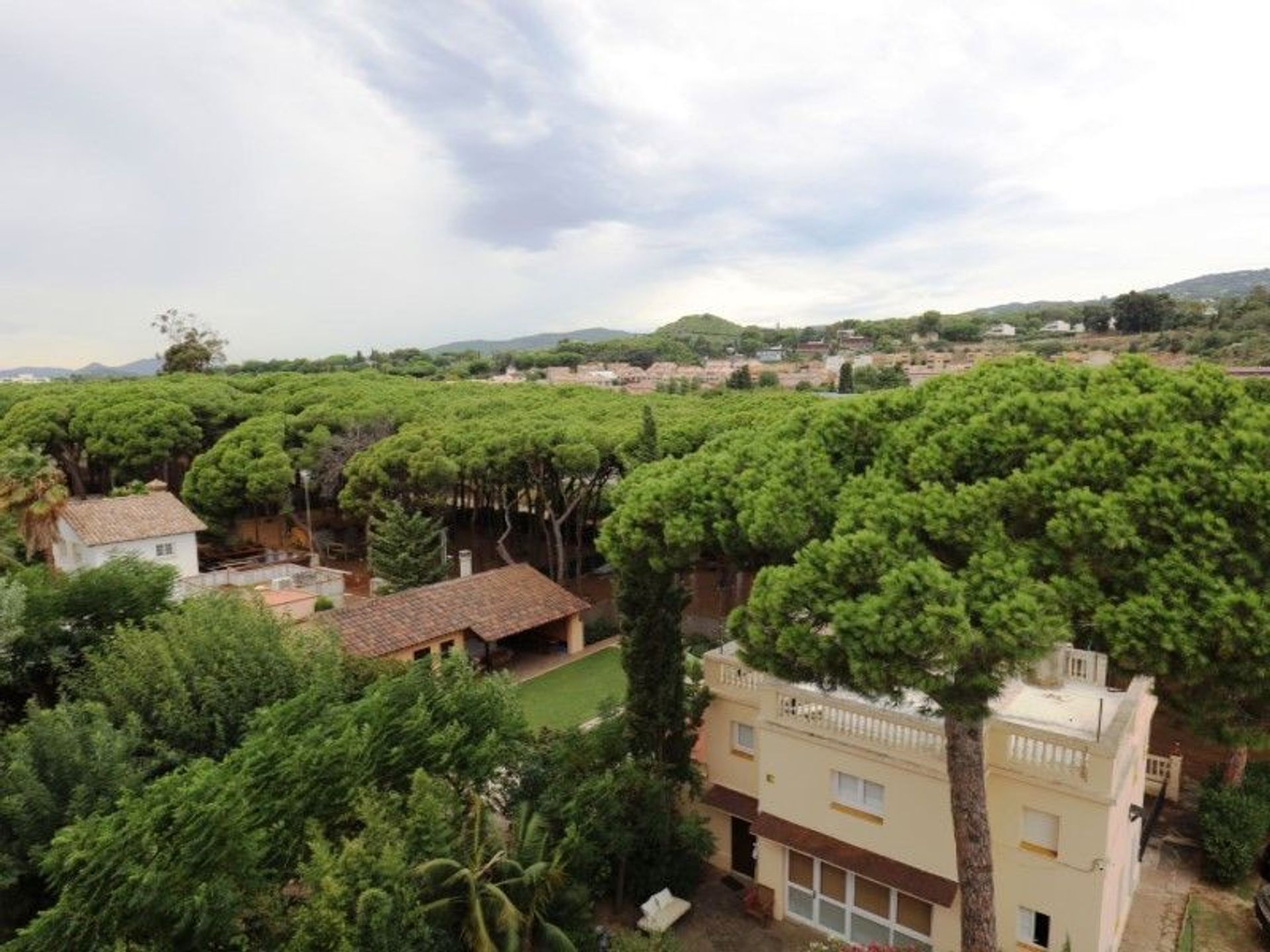 Andere im Sant Vicenç de Montalt, Catalunya 11051496