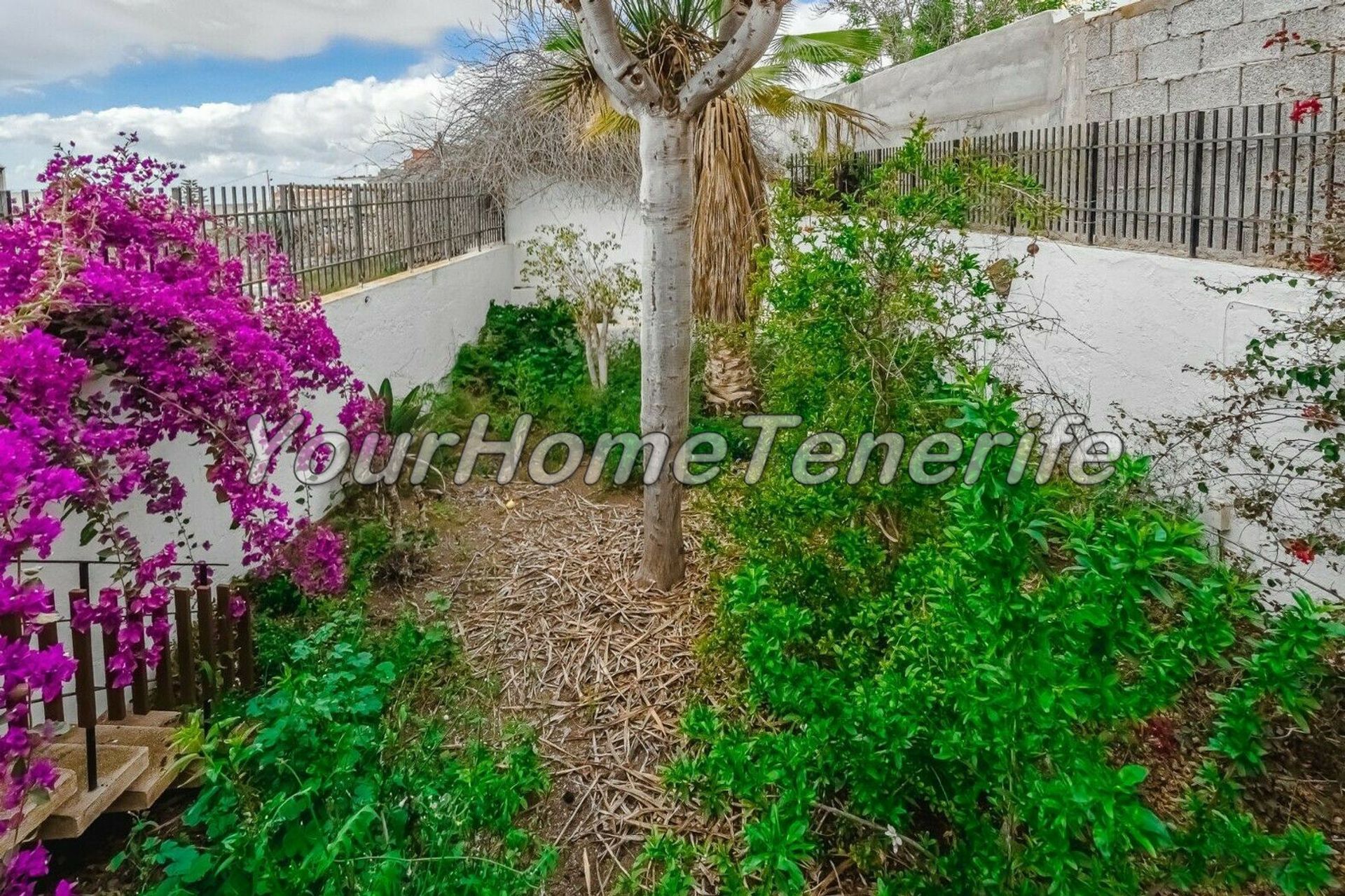 Casa nel Guía de Isora, Canary Islands 11051576