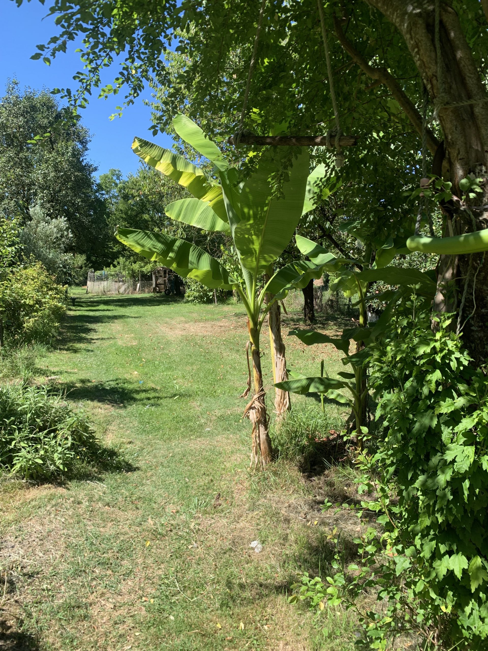 Huis in Sauveterre-la-Lémance, Nouvelle-Aquitaine 11051805