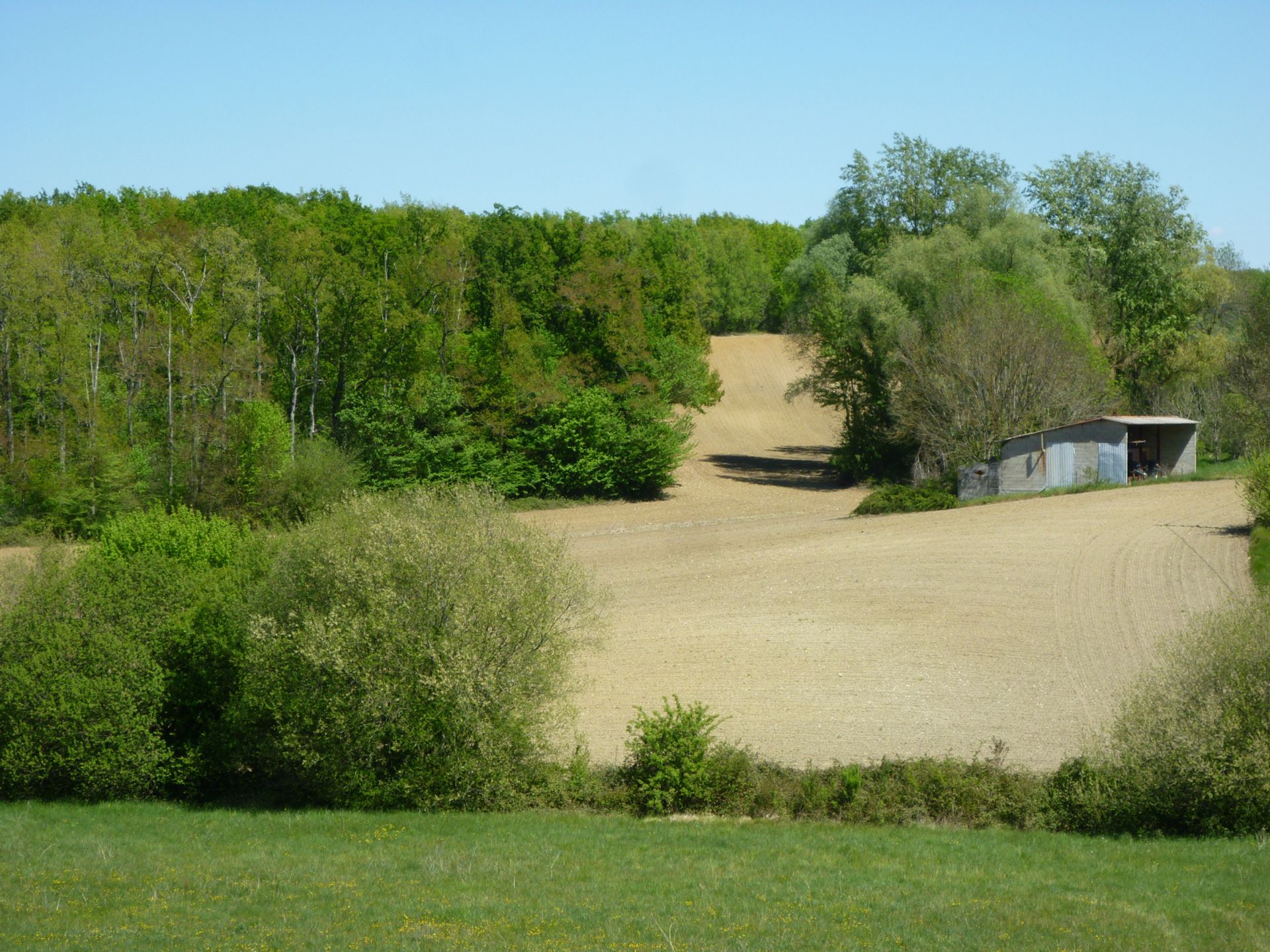 Jord i Sérignac, Occitanie 11051884