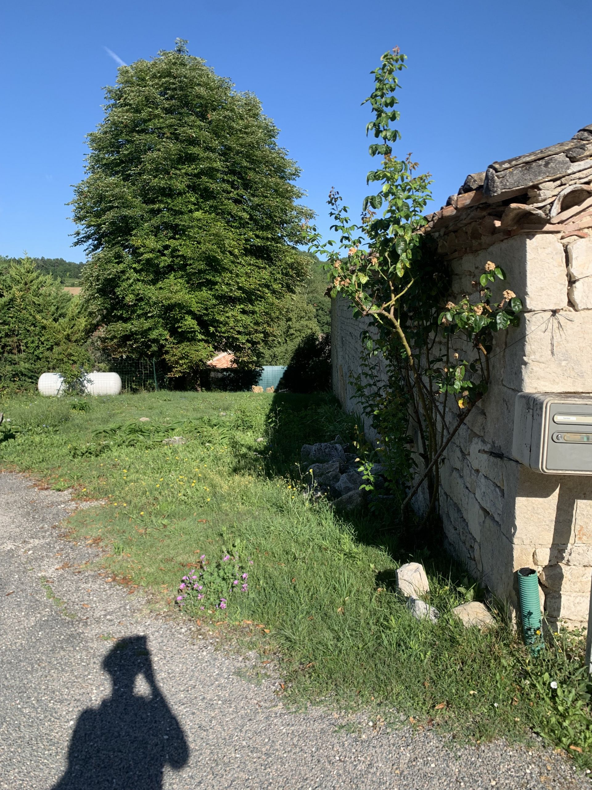 Other in Barguelonne-en-Quercy, Occitanie 11051885