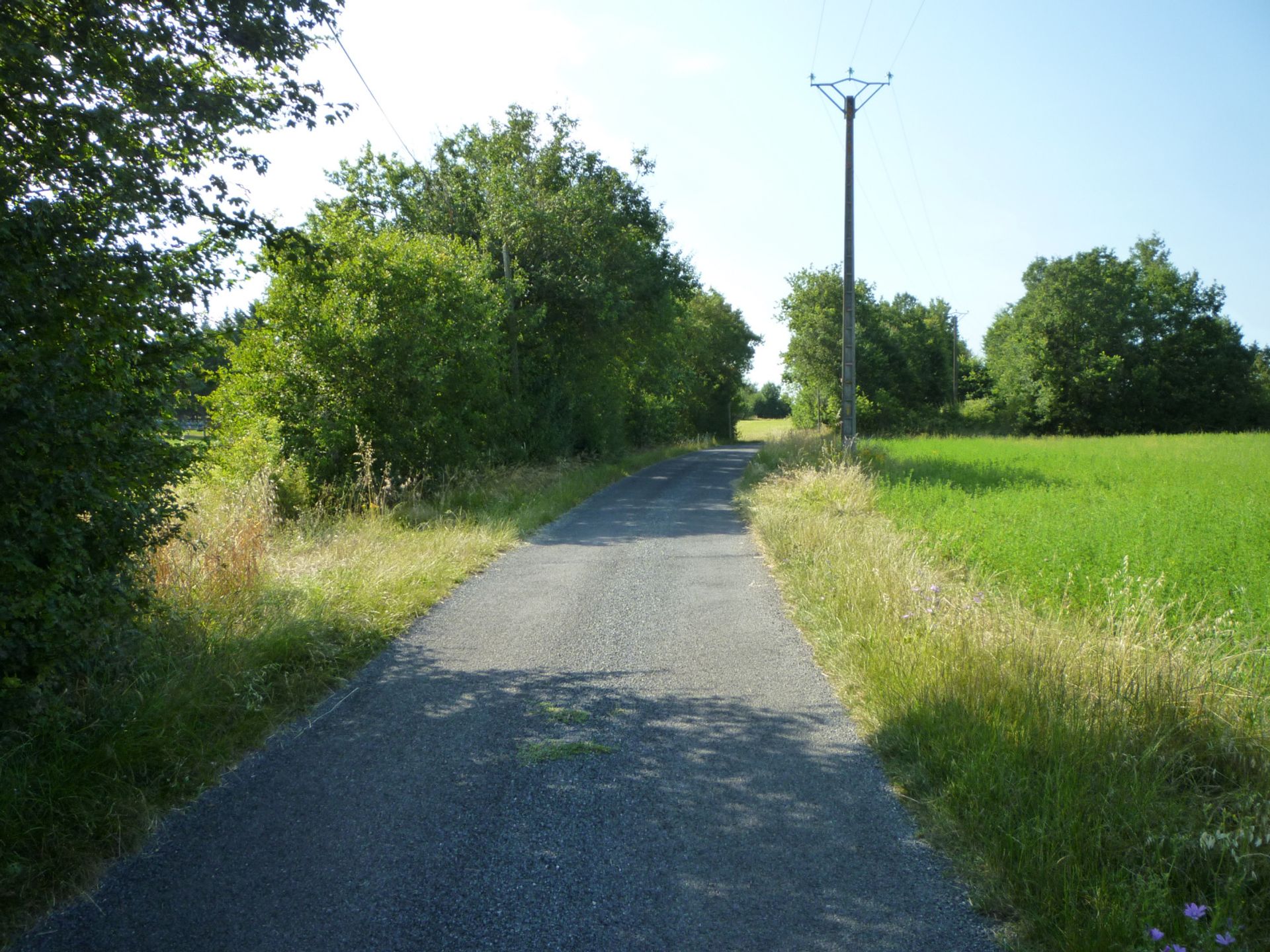 भूमि में Sérignac, Occitanie 11051918