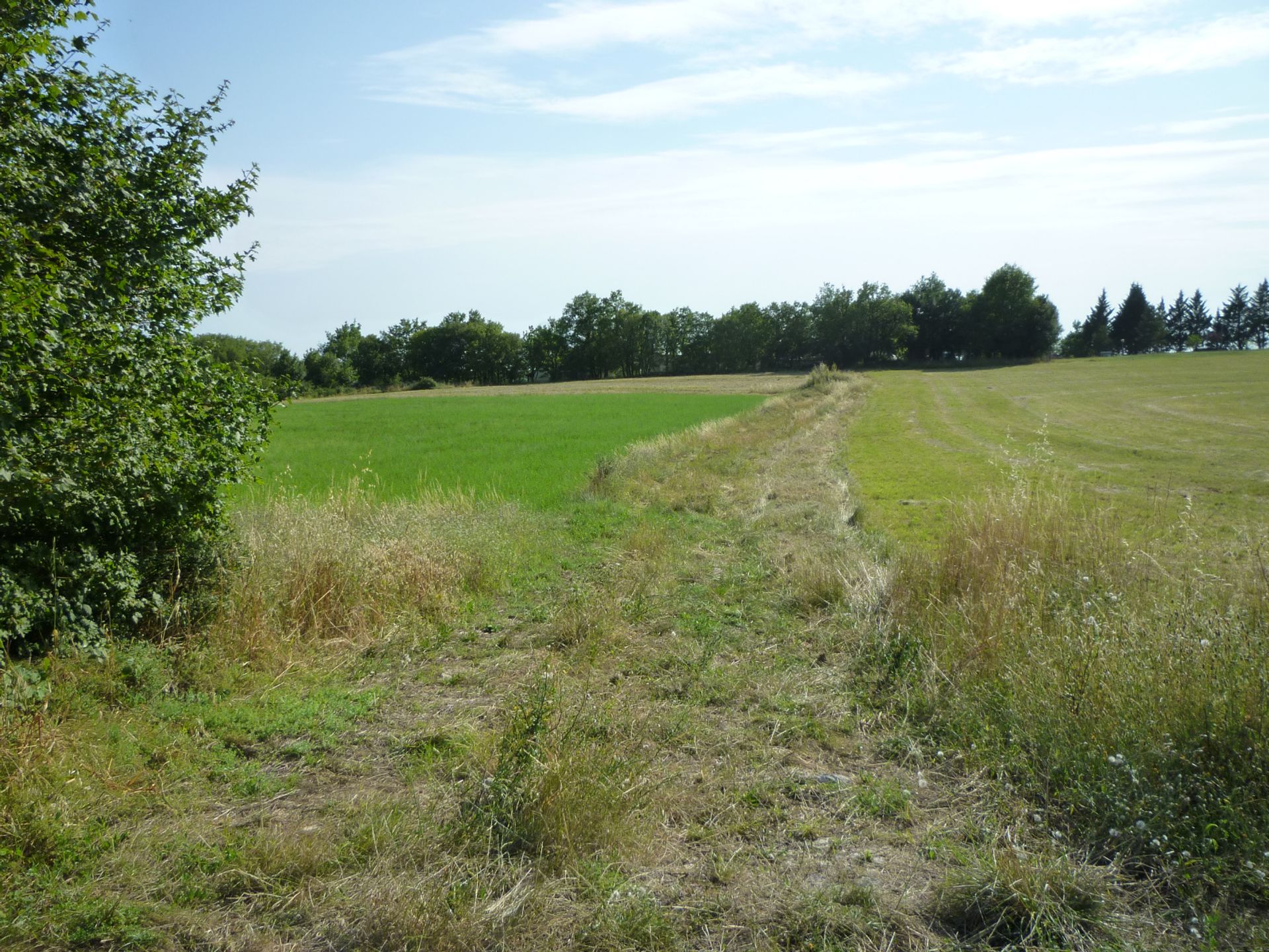 Land im Floressas, Okzitanien 11051918