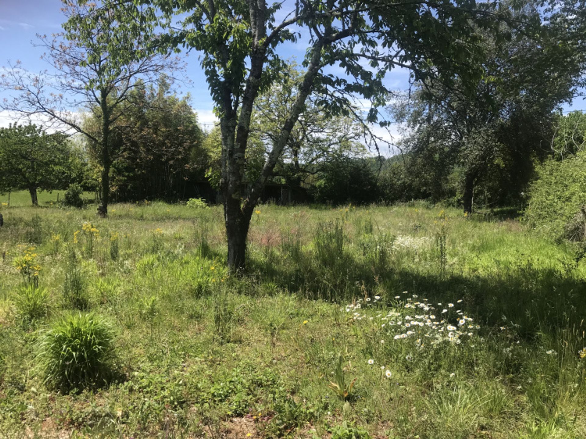 Land in Duravel, Occitanië 11051928